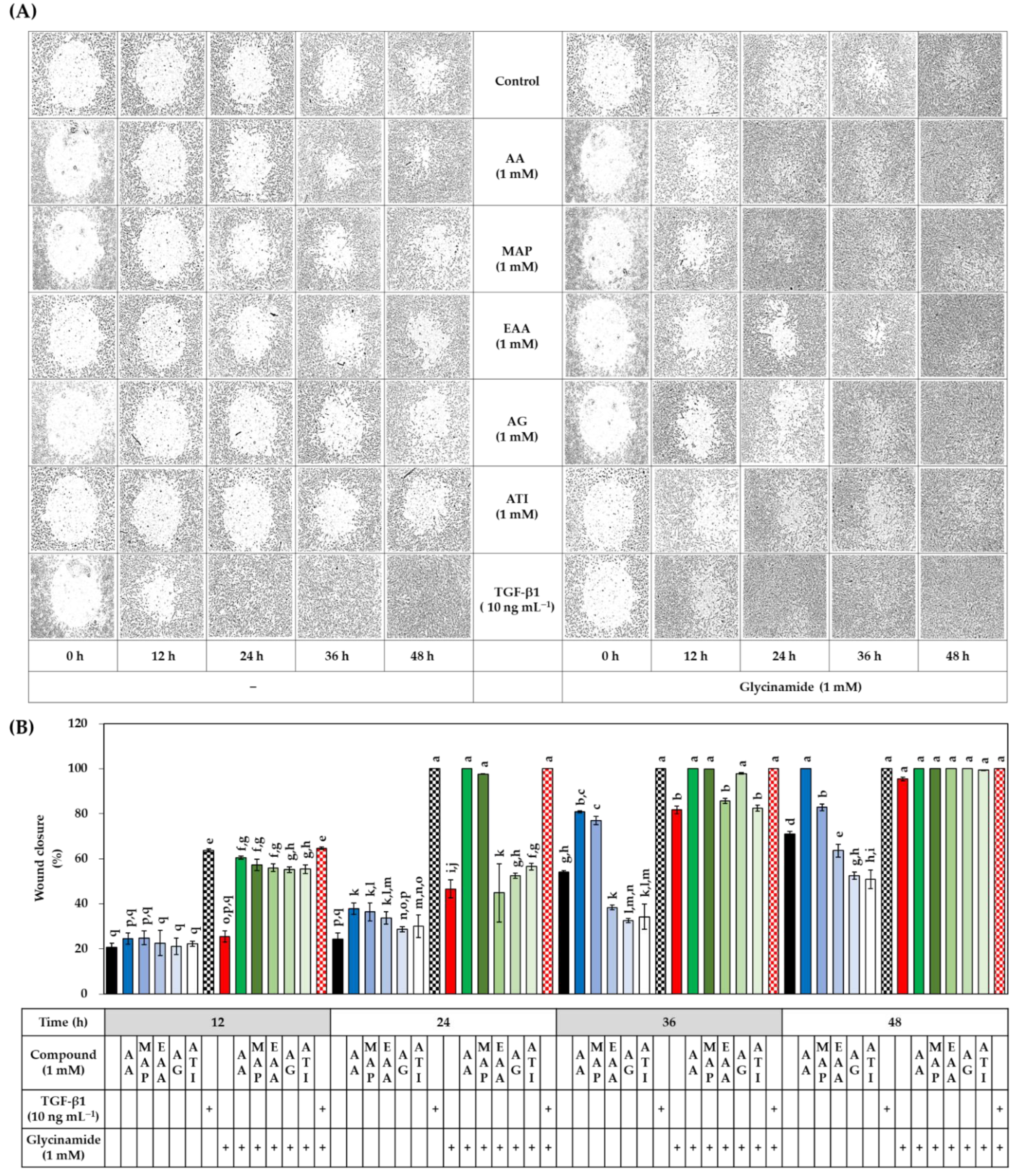 Biomedicines 10 01029 g012 Biomedicines 10 01029 g012