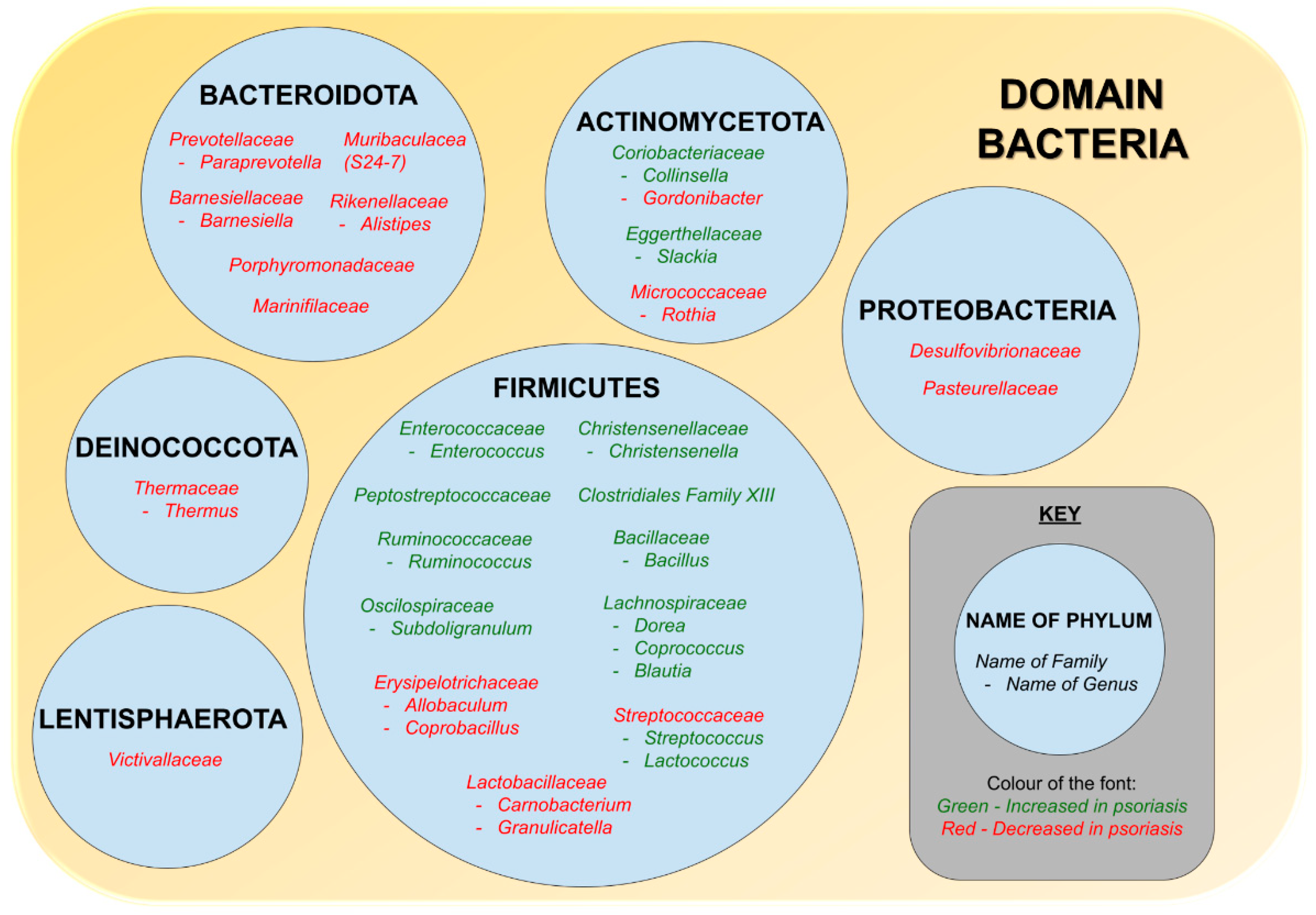 Biomedicines 10 01037 g001 Biomedicines 10 01037 g001