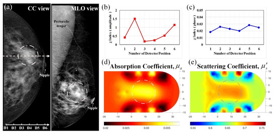 Biomedicines 10 01040 g011