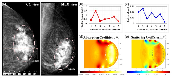 Biomedicines 10 01040 g013