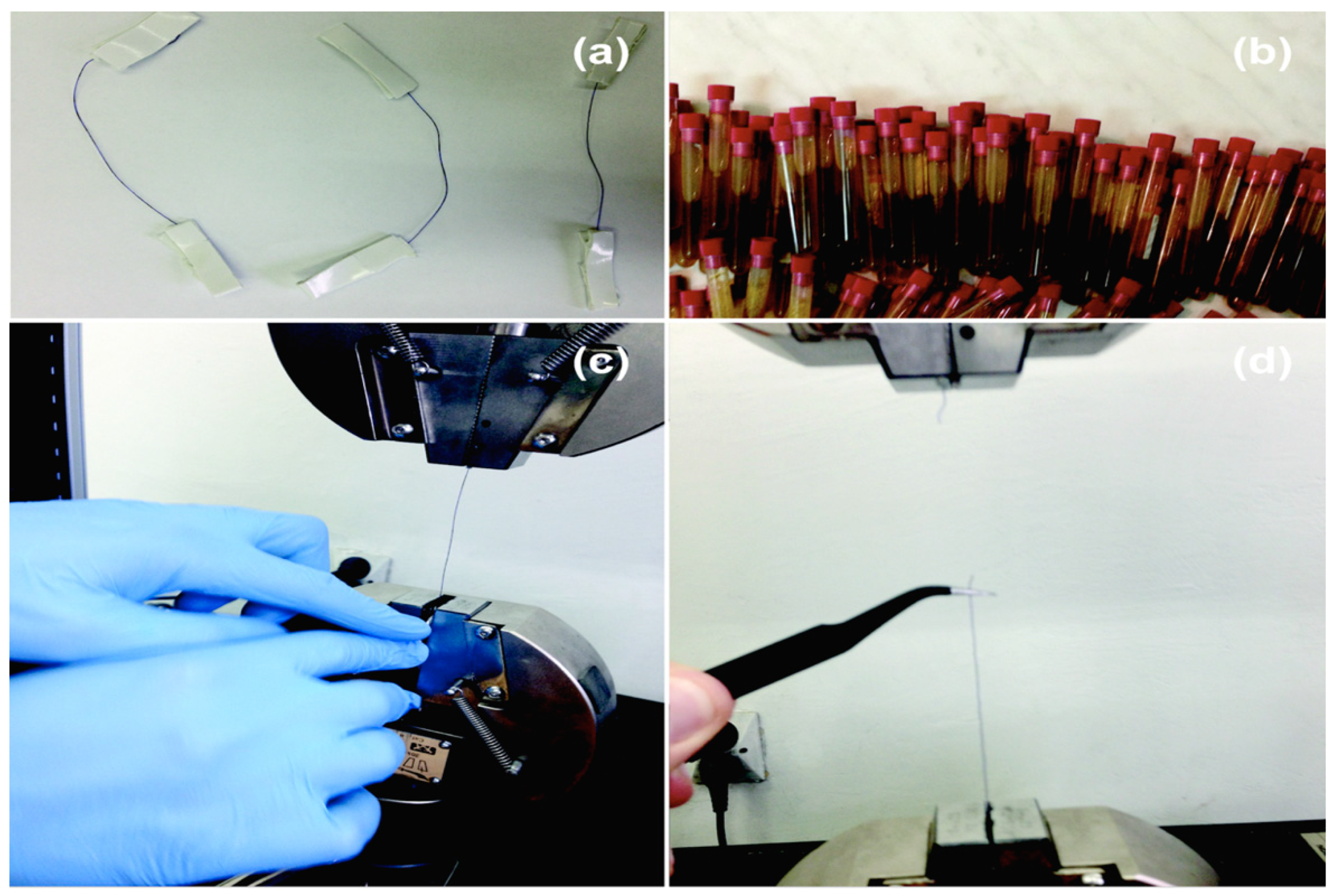 Biomedicines 10 01053 g001 Biomedicines 10 01053 g001