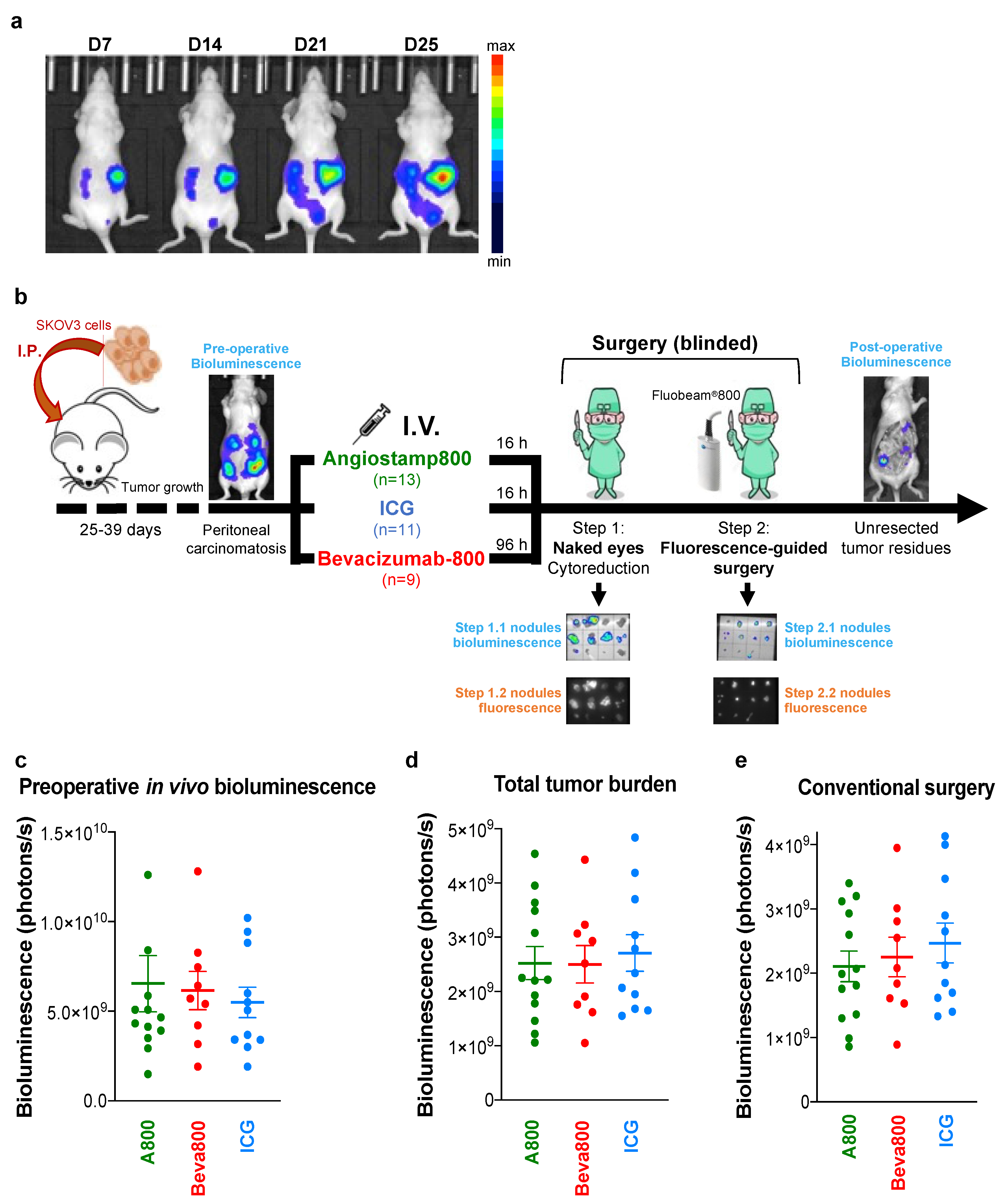 Biomedicines 10 01059 g001