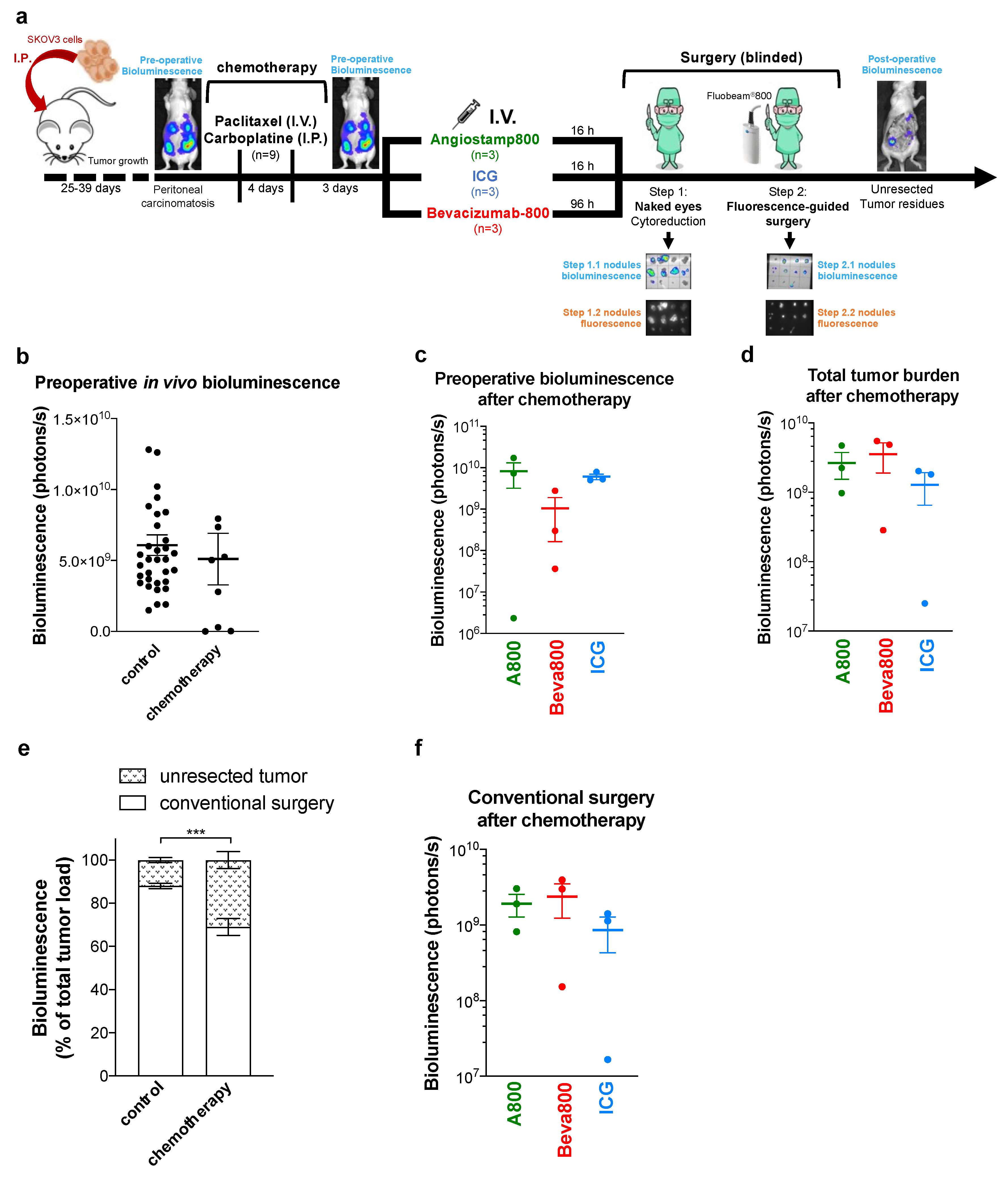 Biomedicines 10 01059 g003