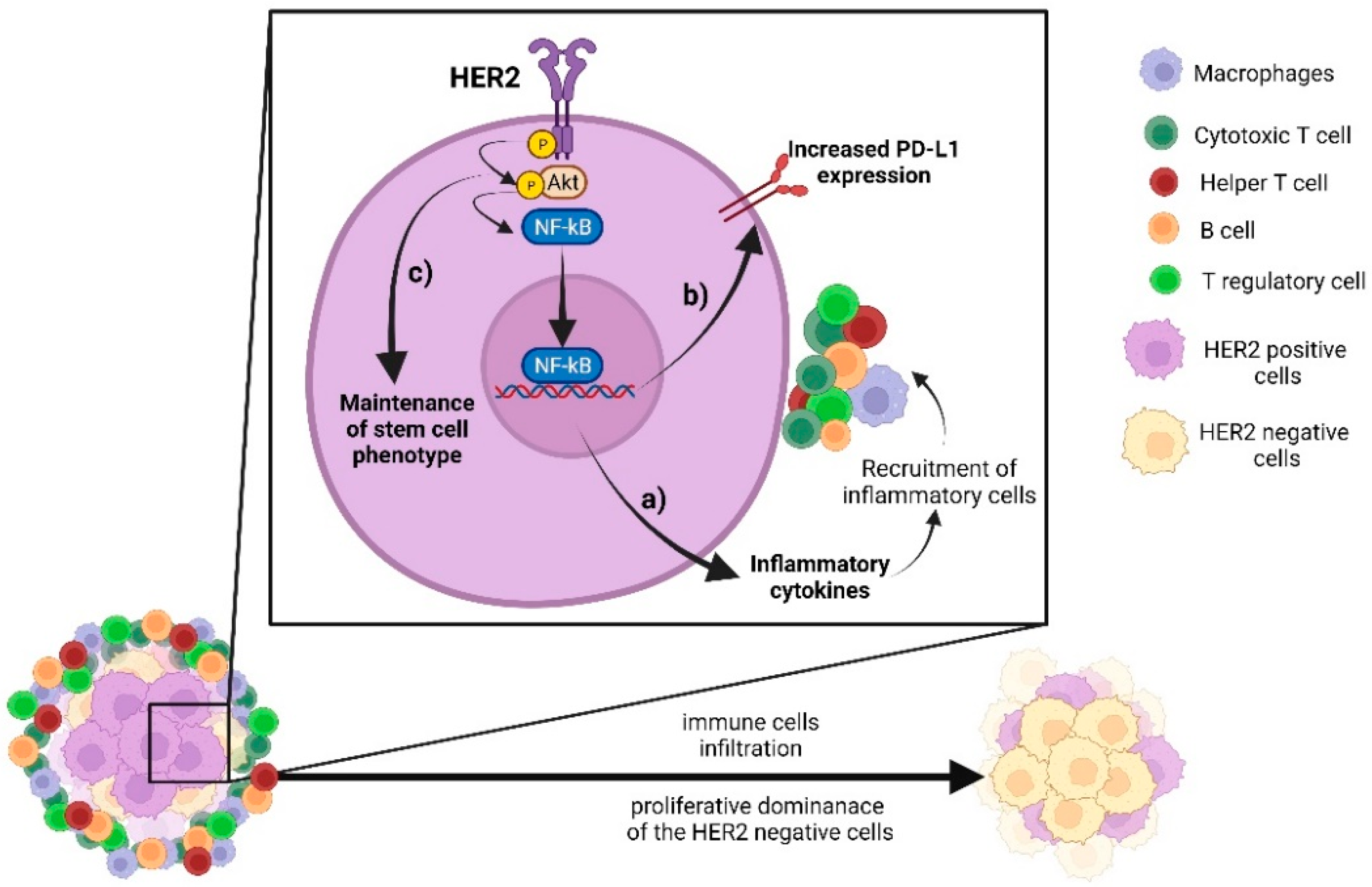 Biomedicines 10 01061 g001