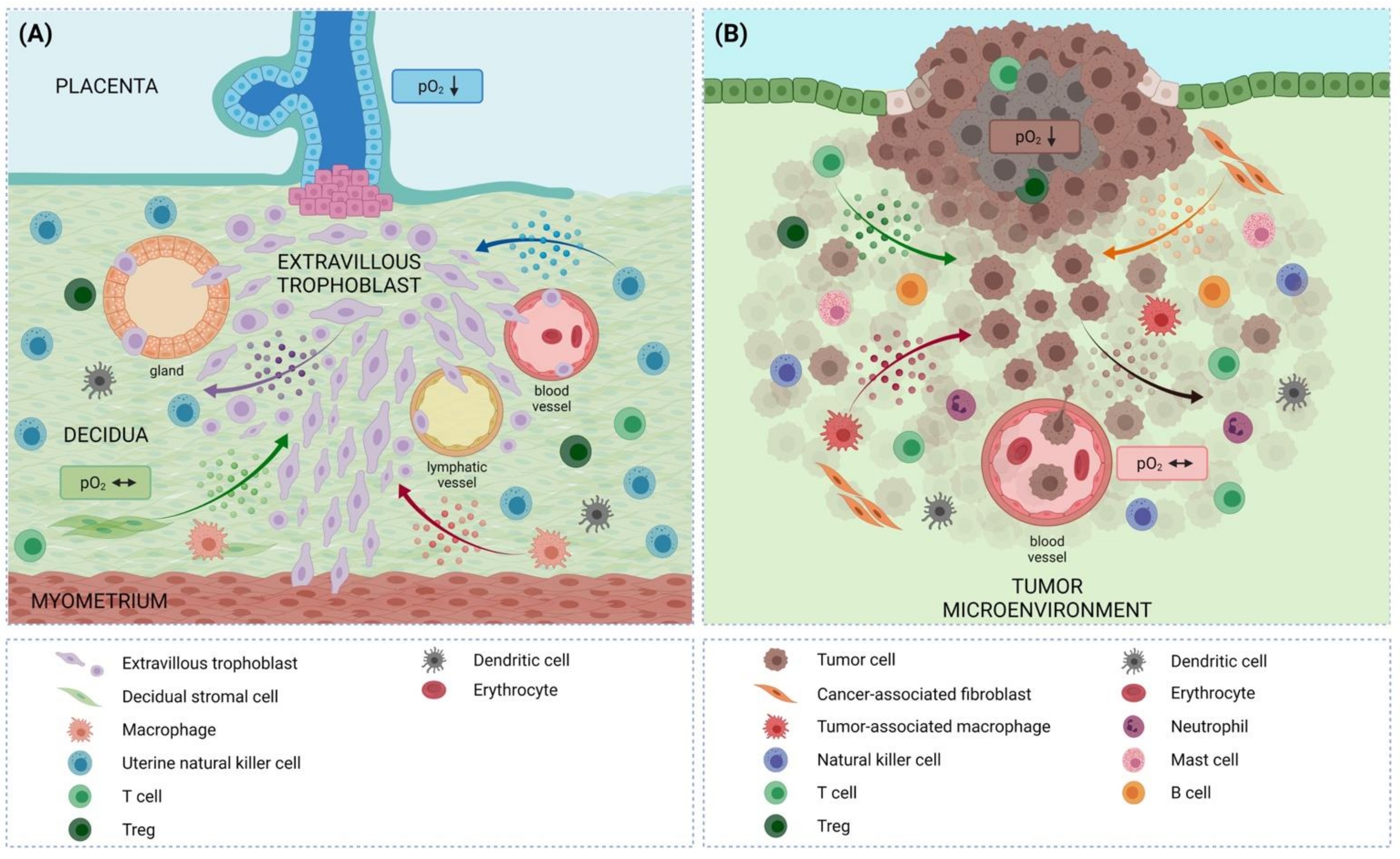 Biomedicines 10 01065 g001 Biomedicines 10 01065 g001