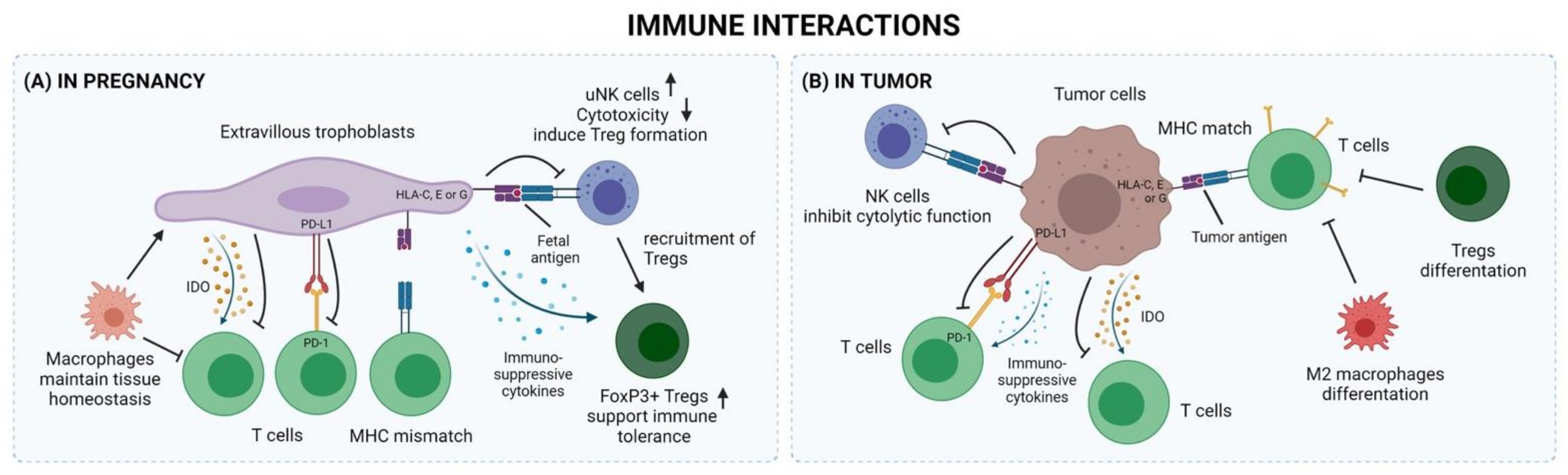 Biomedicines 10 01065 g002 Biomedicines 10 01065 g002