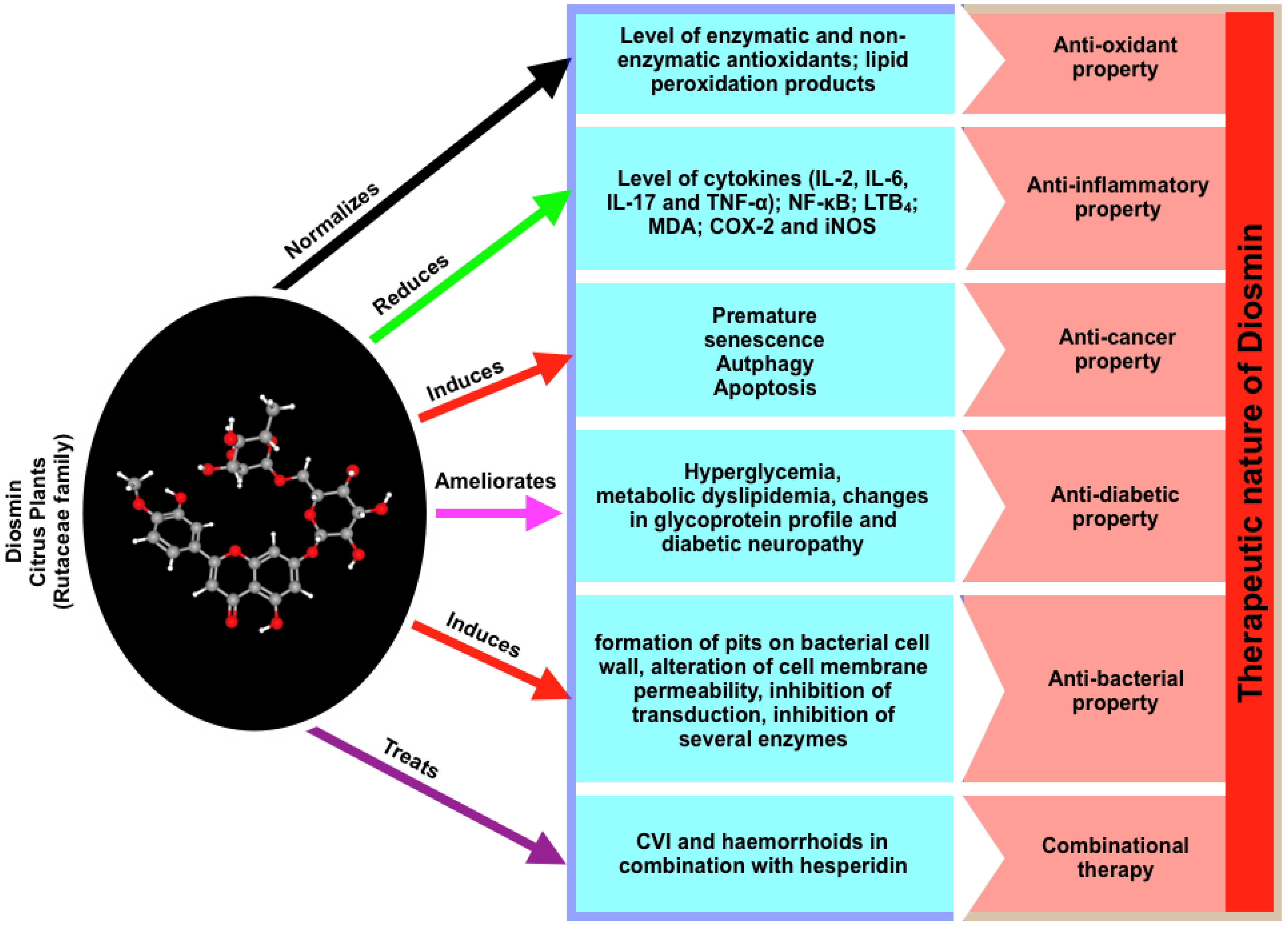 Biomedicines 10 01076 g001
