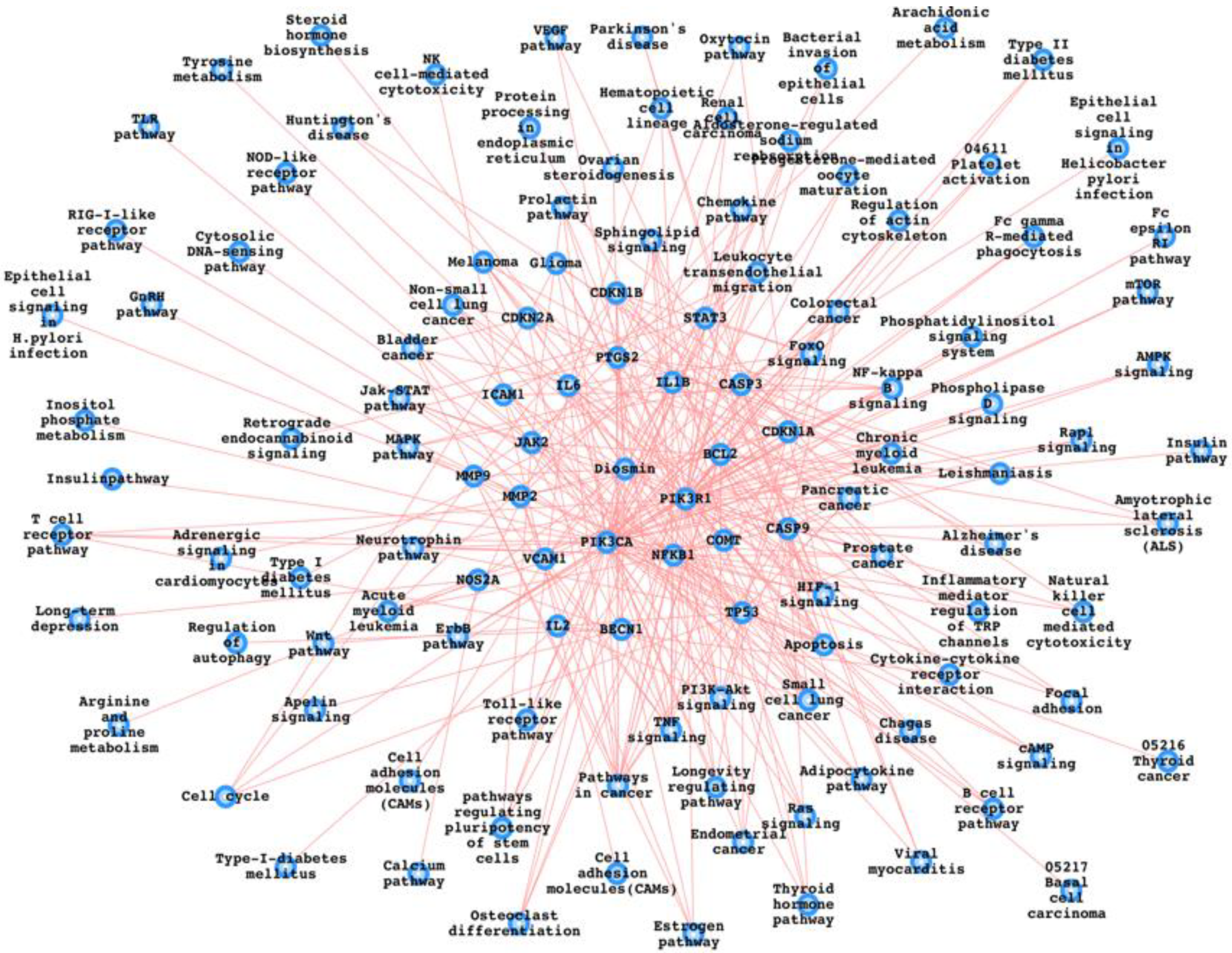 Biomedicines 10 01076 g003