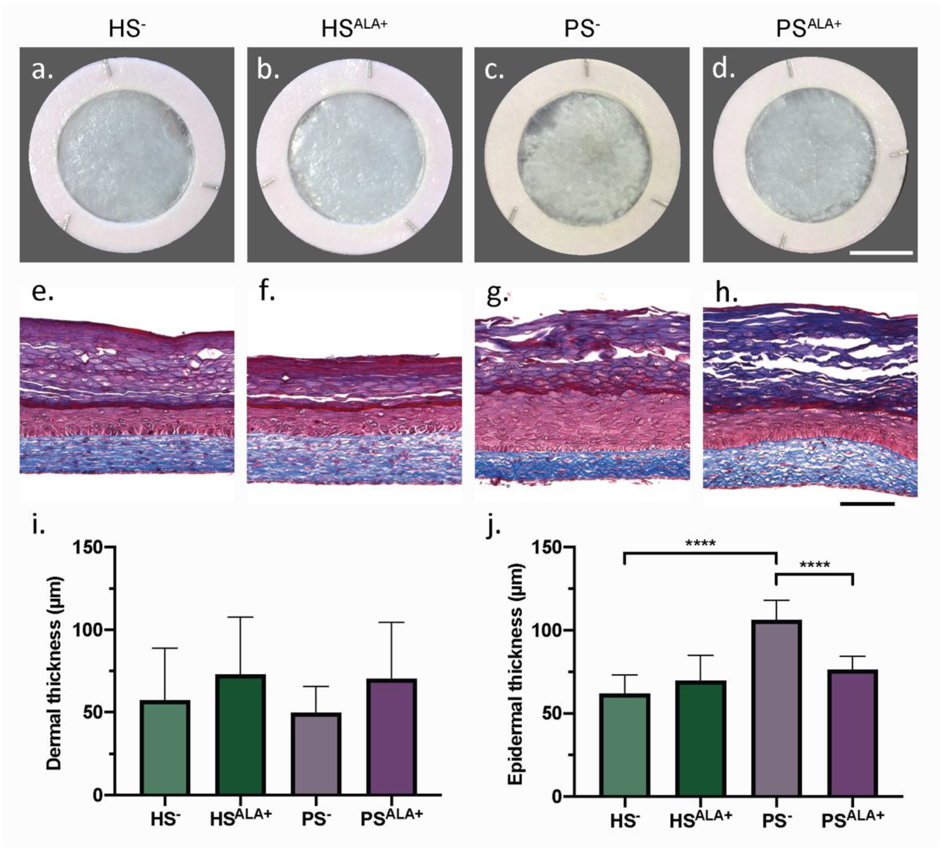 Biomedicines 10 01078 g001
