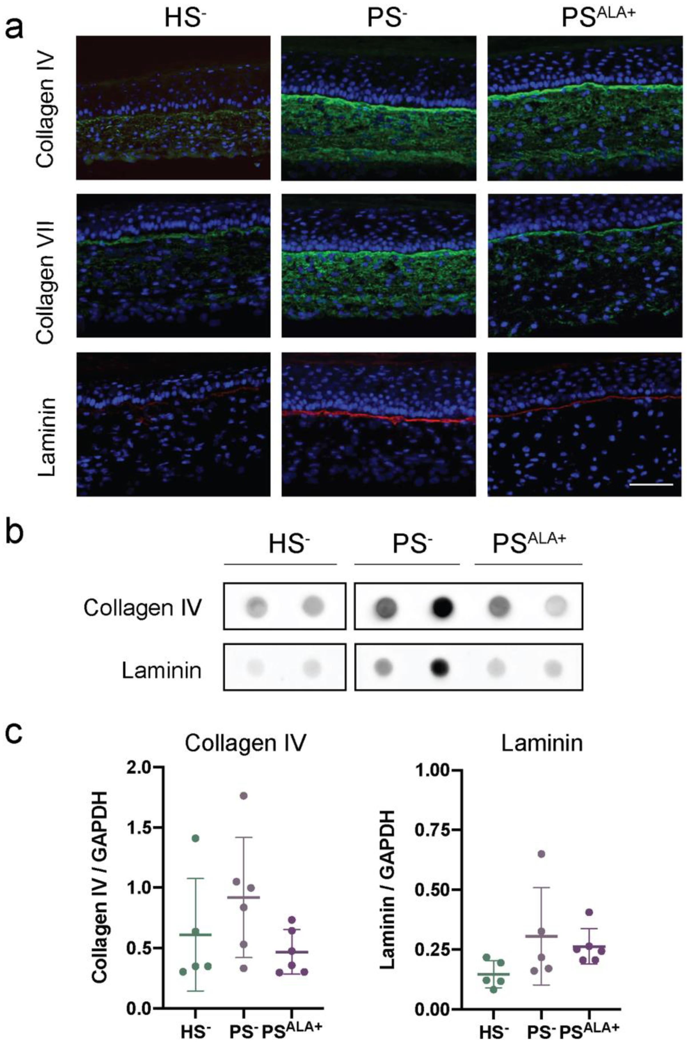 Biomedicines 10 01078 g004