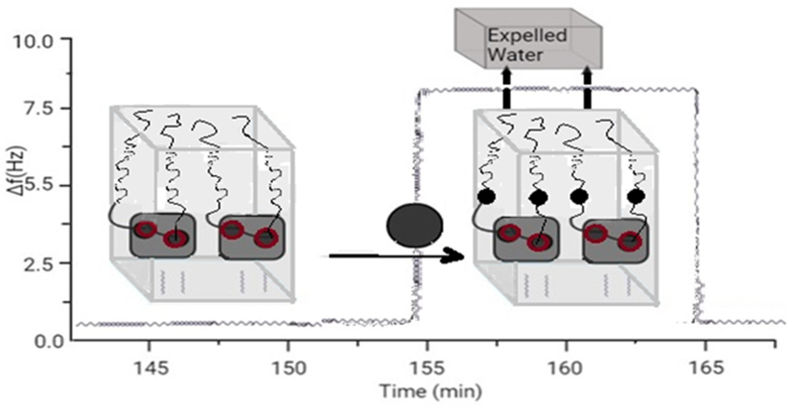 Biomedicines 10 01079 g002 Biomedicines 10 01079 g002