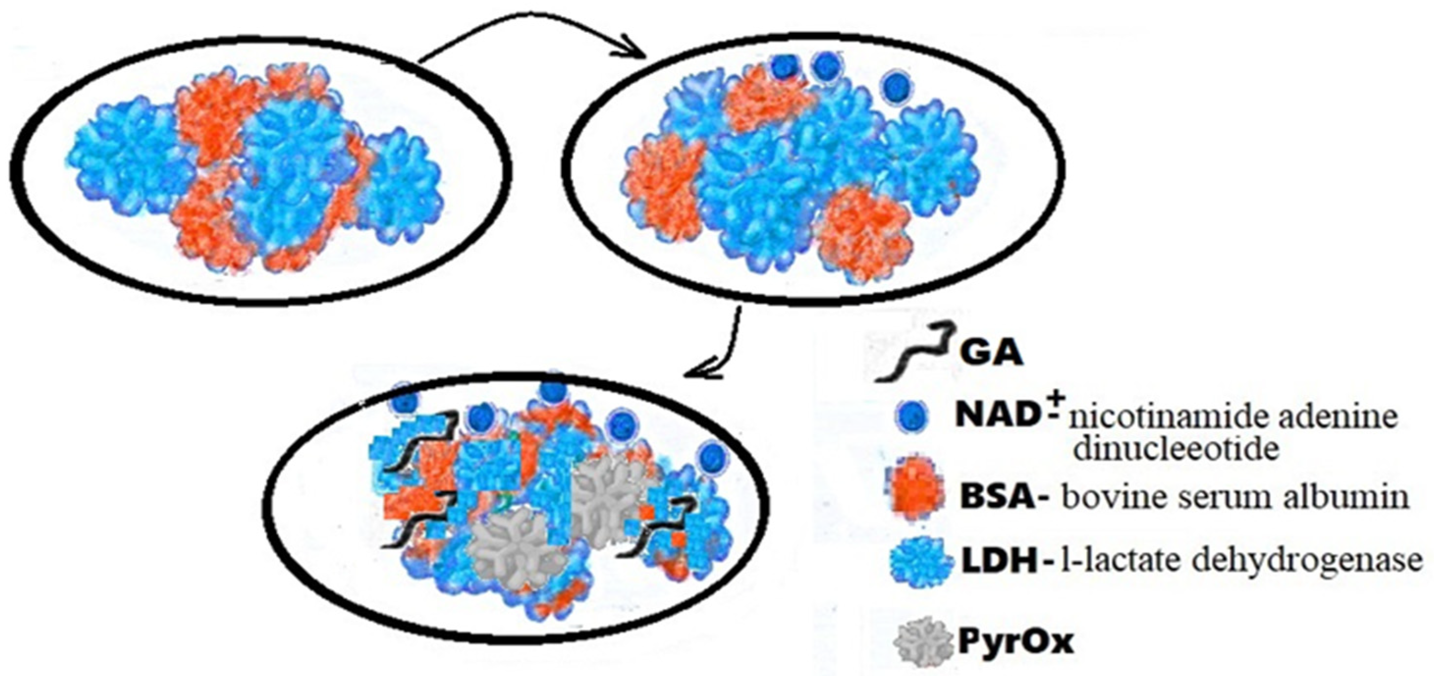 Biomedicines 10 01079 g003 Biomedicines 10 01079 g003