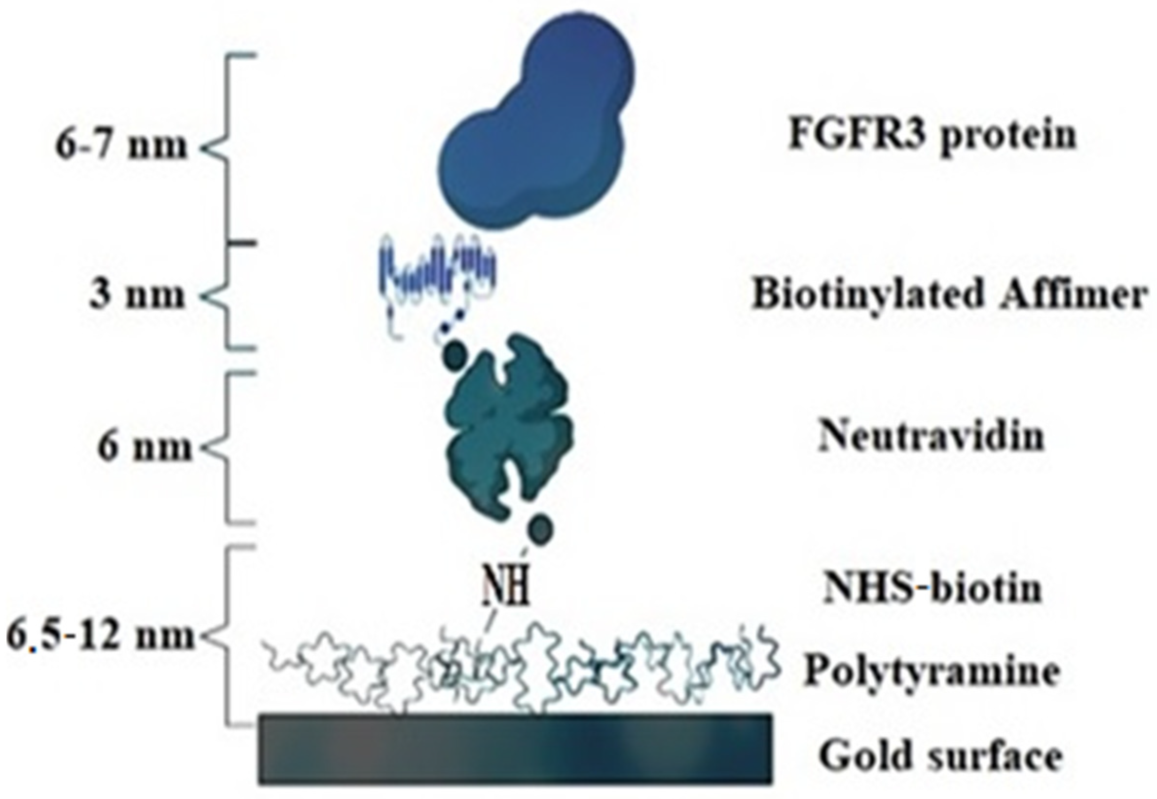 Biomedicines 10 01079 g004 Biomedicines 10 01079 g004
