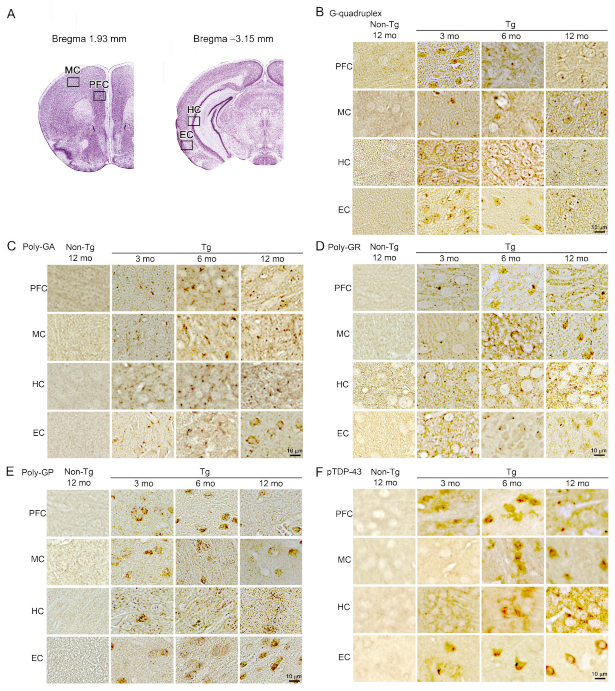 Biomedicines 10 01080 g002