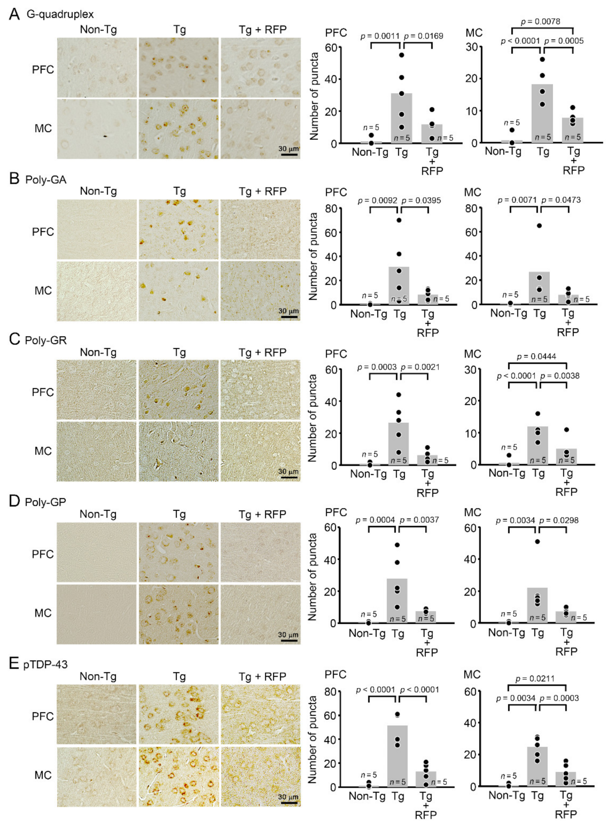 Biomedicines 10 01080 g005