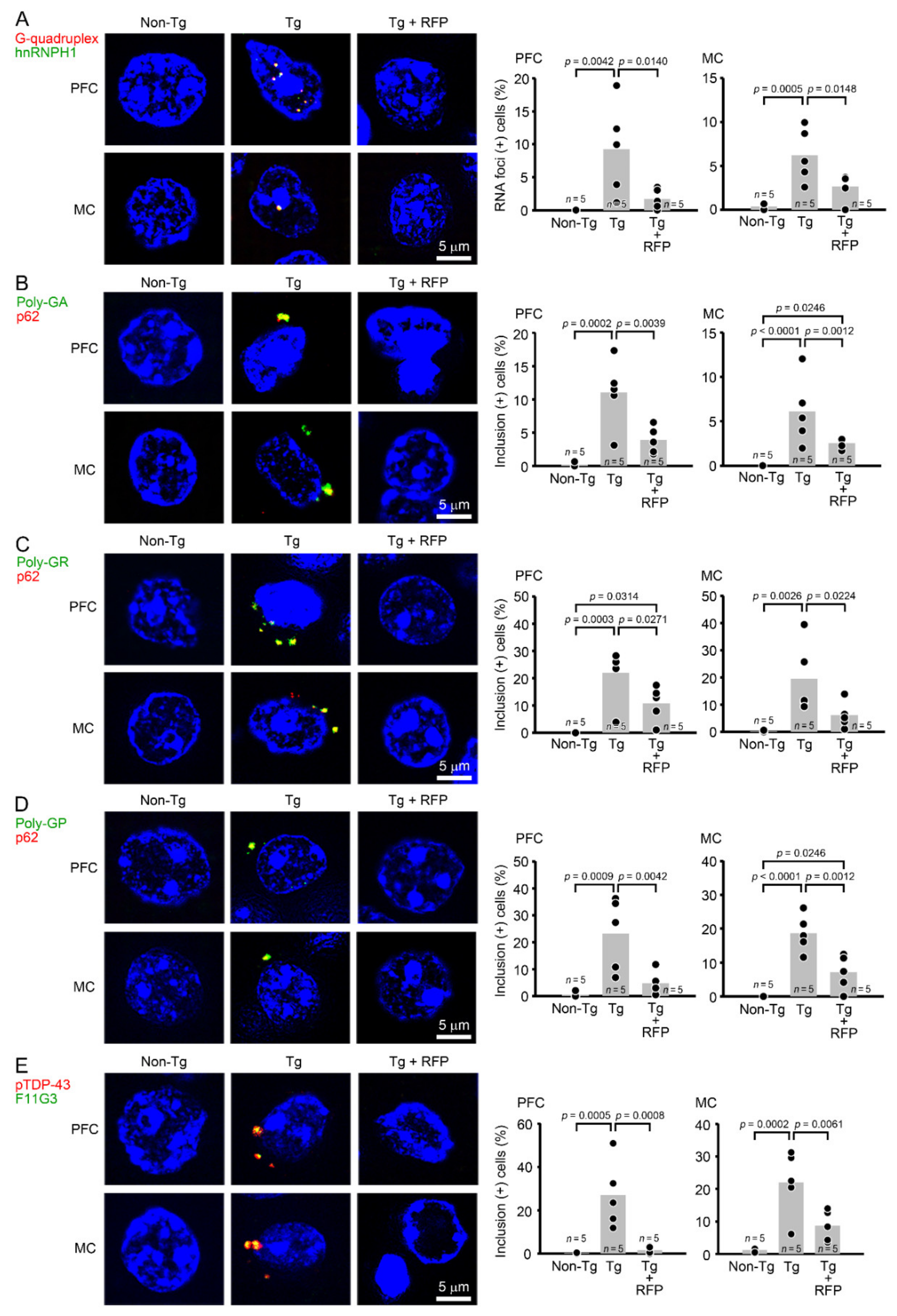 Biomedicines 10 01080 g006