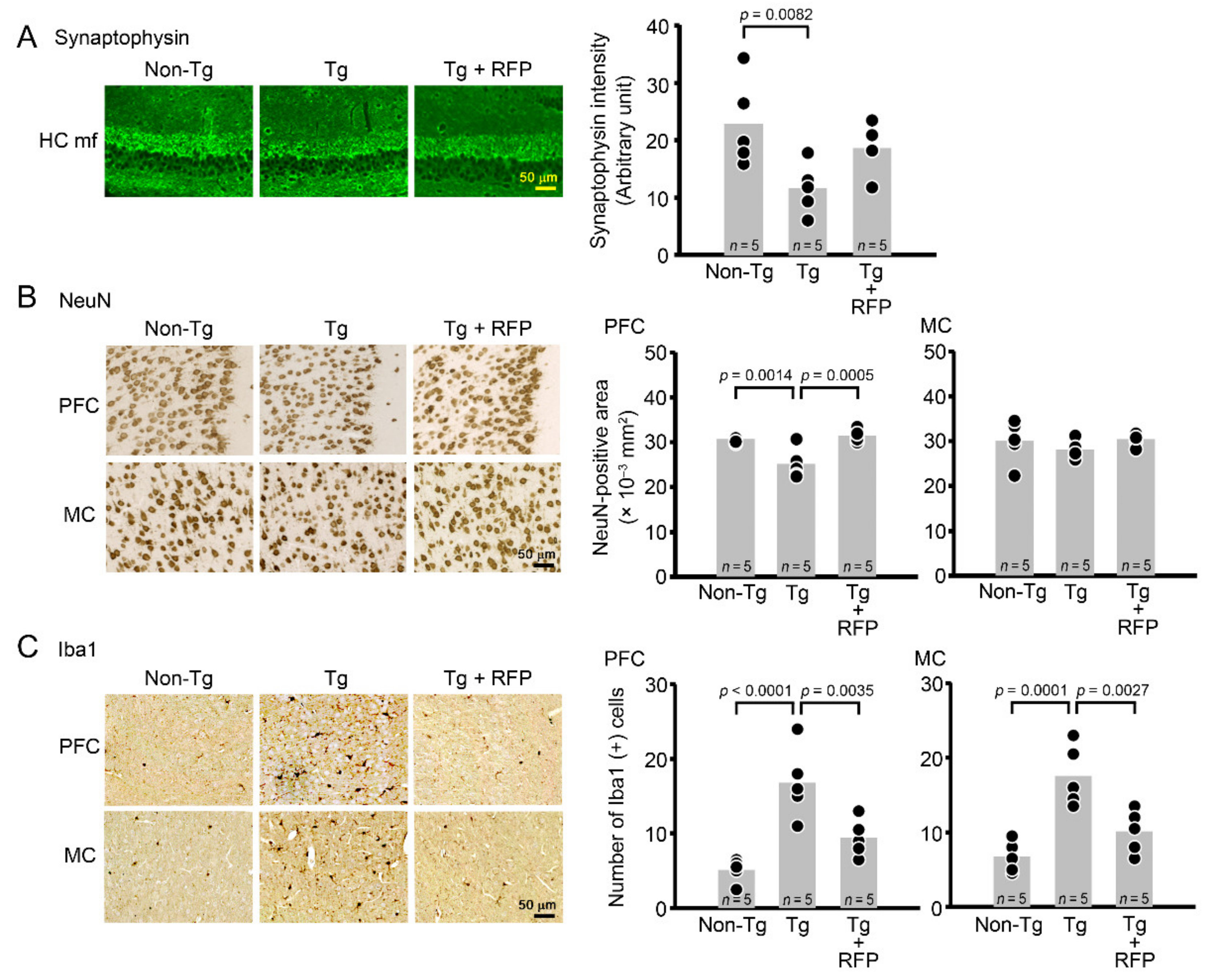 Biomedicines 10 01080 g007