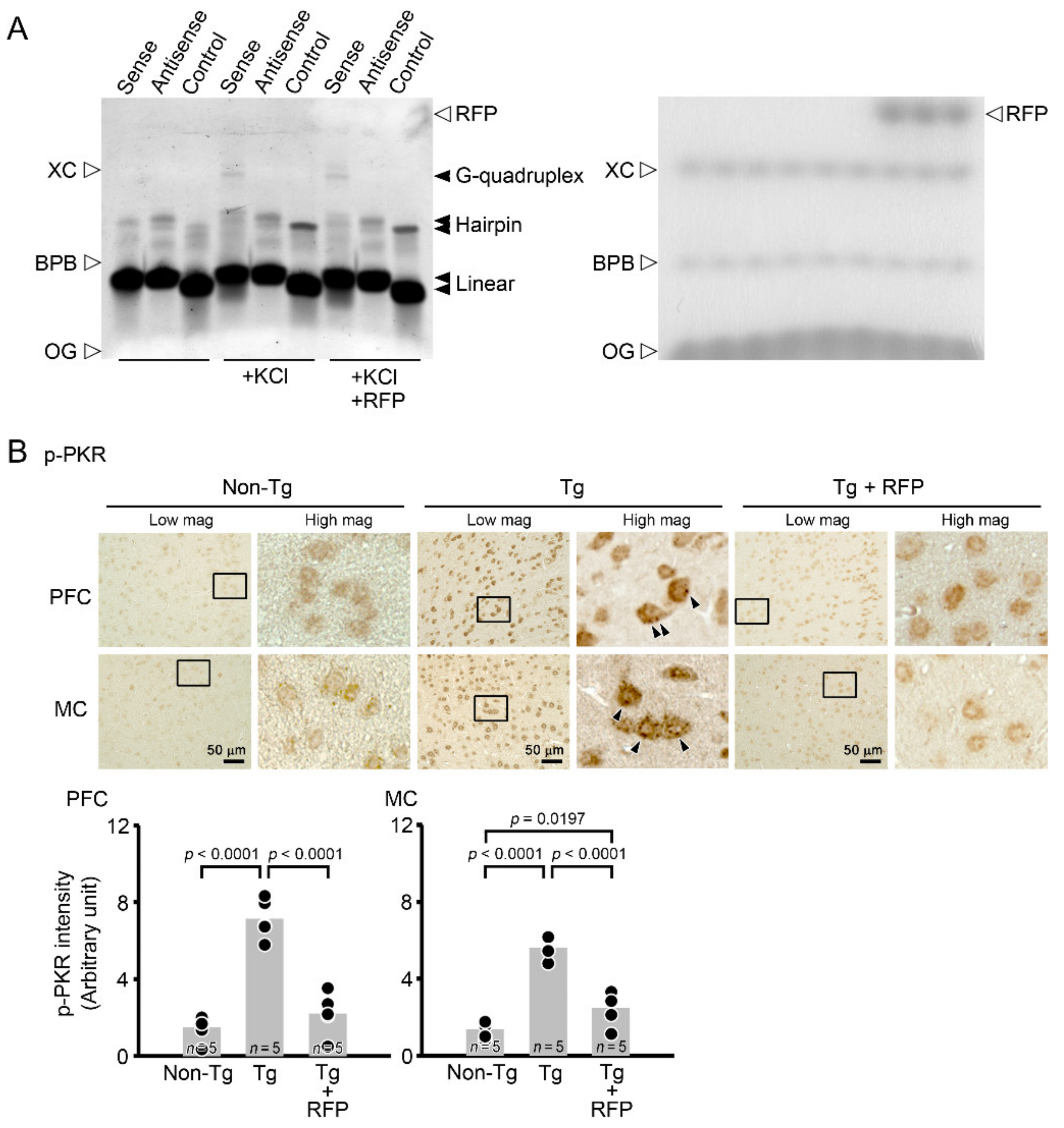 Biomedicines 10 01080 g008