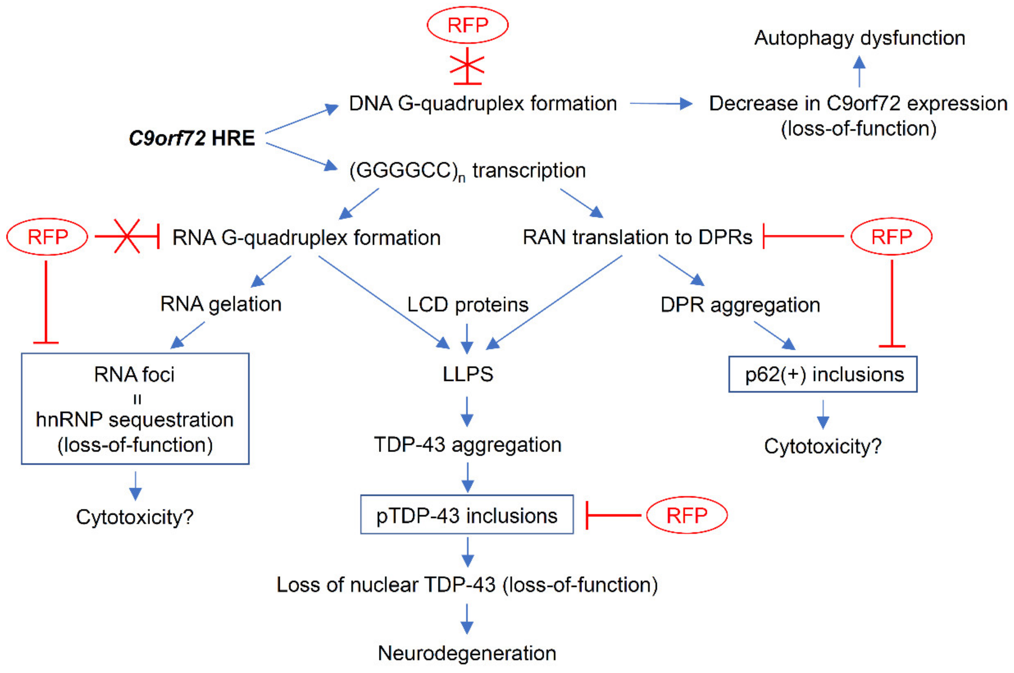 Biomedicines 10 01080 g009