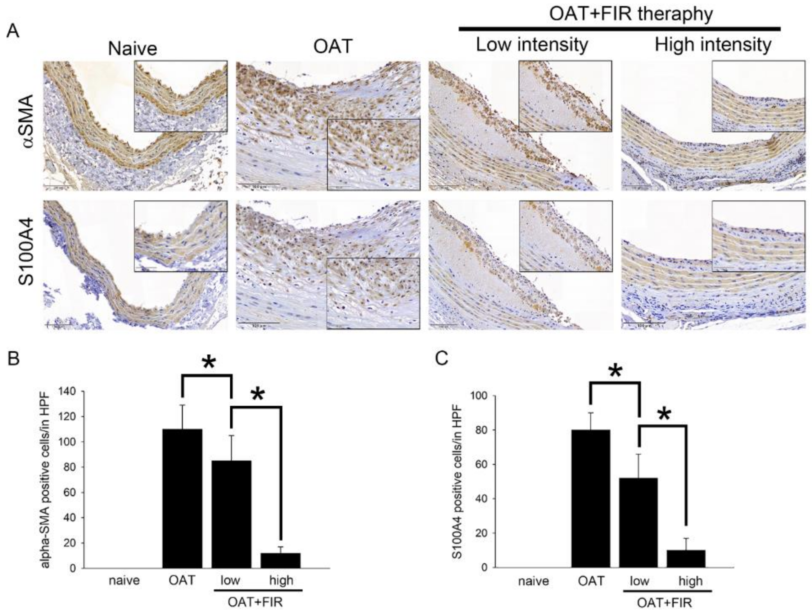 Biomedicines 10 01089 g002 Biomedicines 10 01089 g002