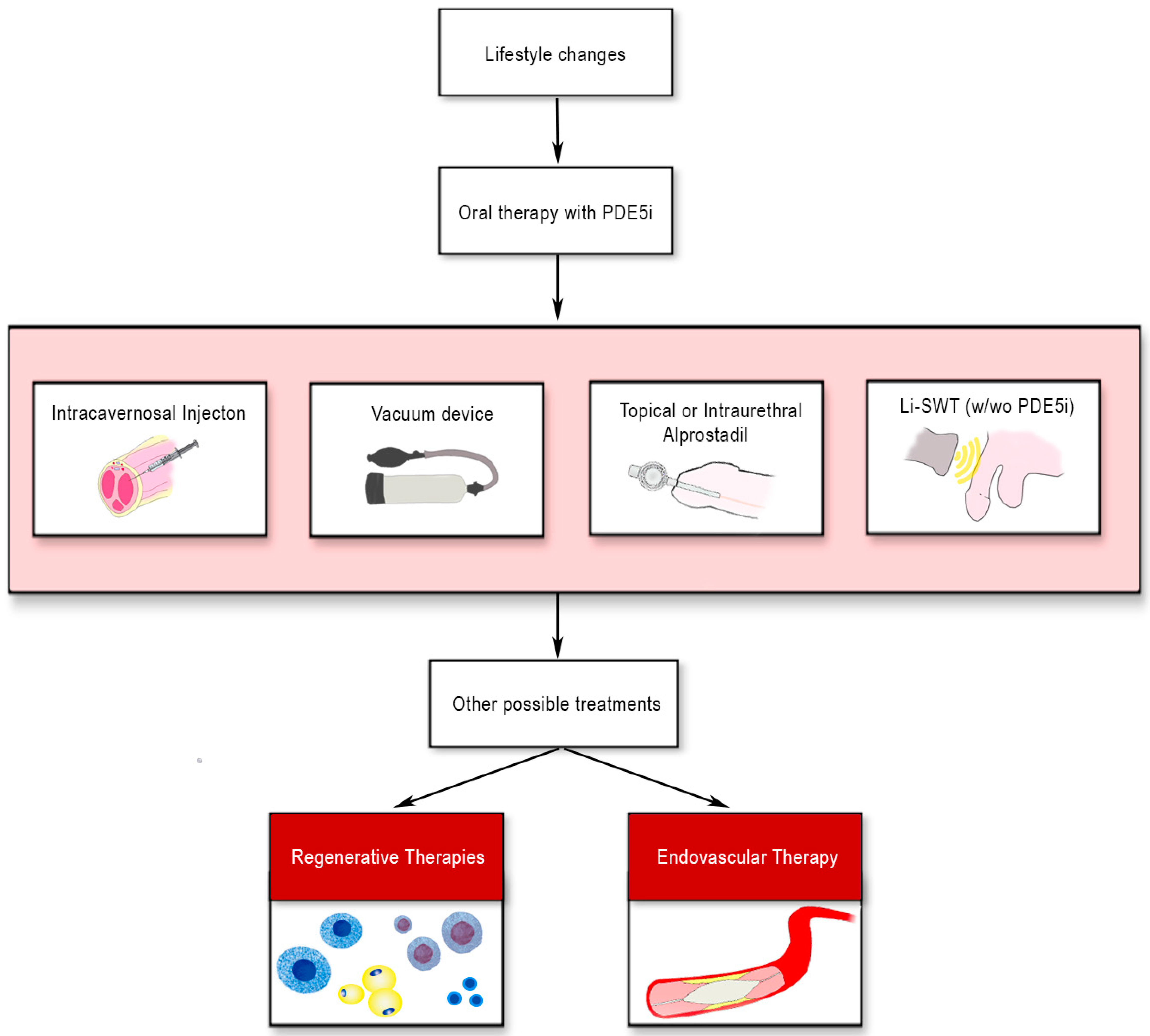 Biomedicines 10 01091 g001 Biomedicines 10 01091 g001