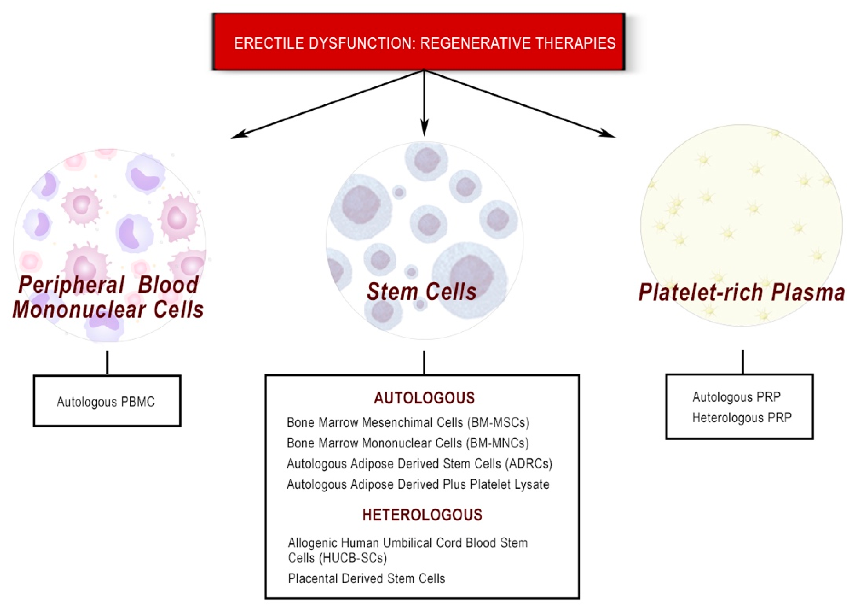 Biomedicines 10 01091 g002 Biomedicines 10 01091 g002