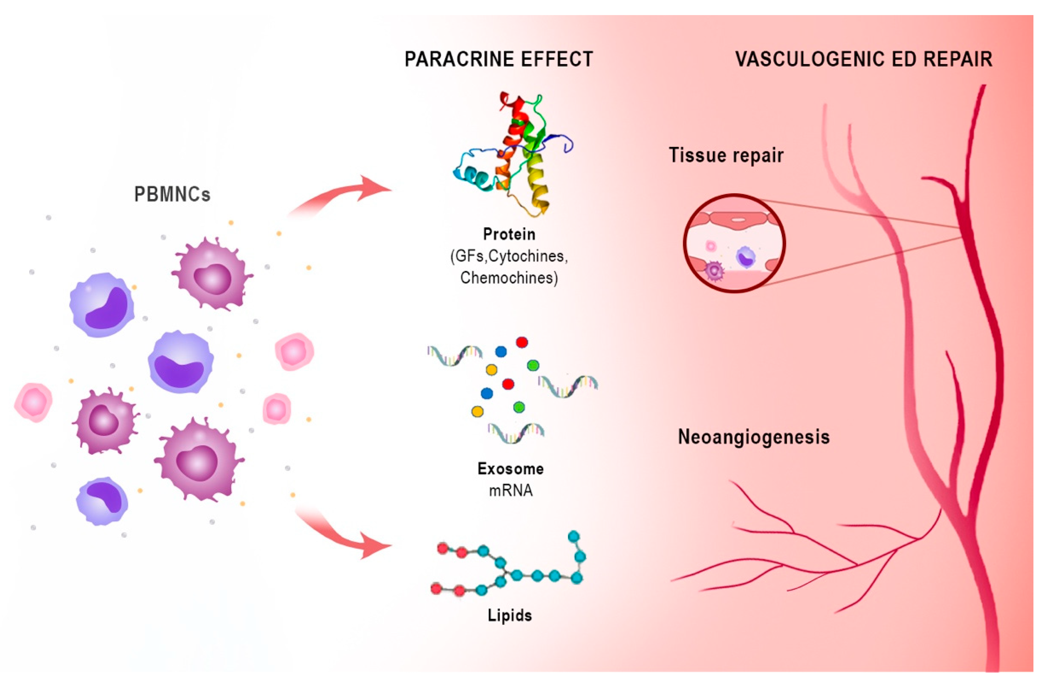 Biomedicines 10 01091 g003 Biomedicines 10 01091 g003