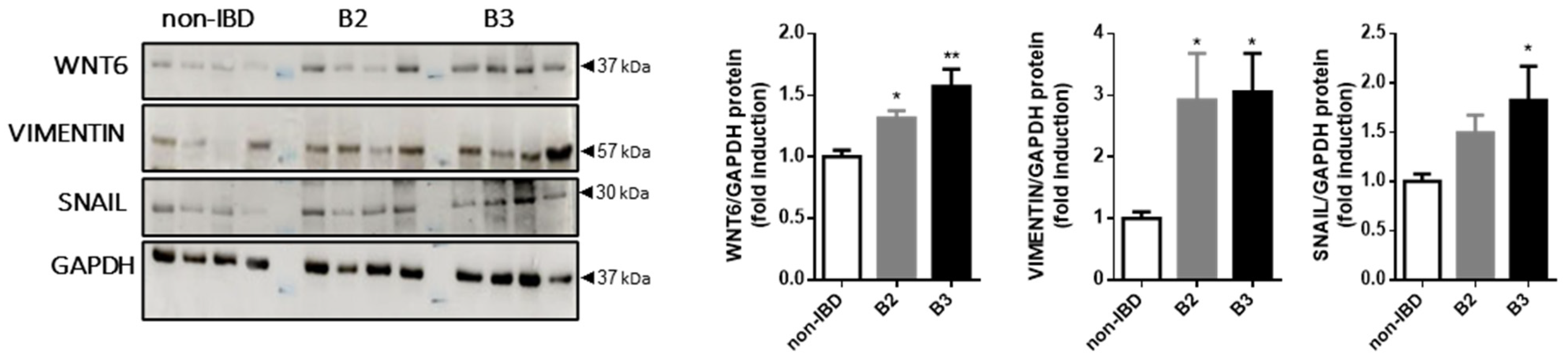 Biomedicines 10 01093 g002