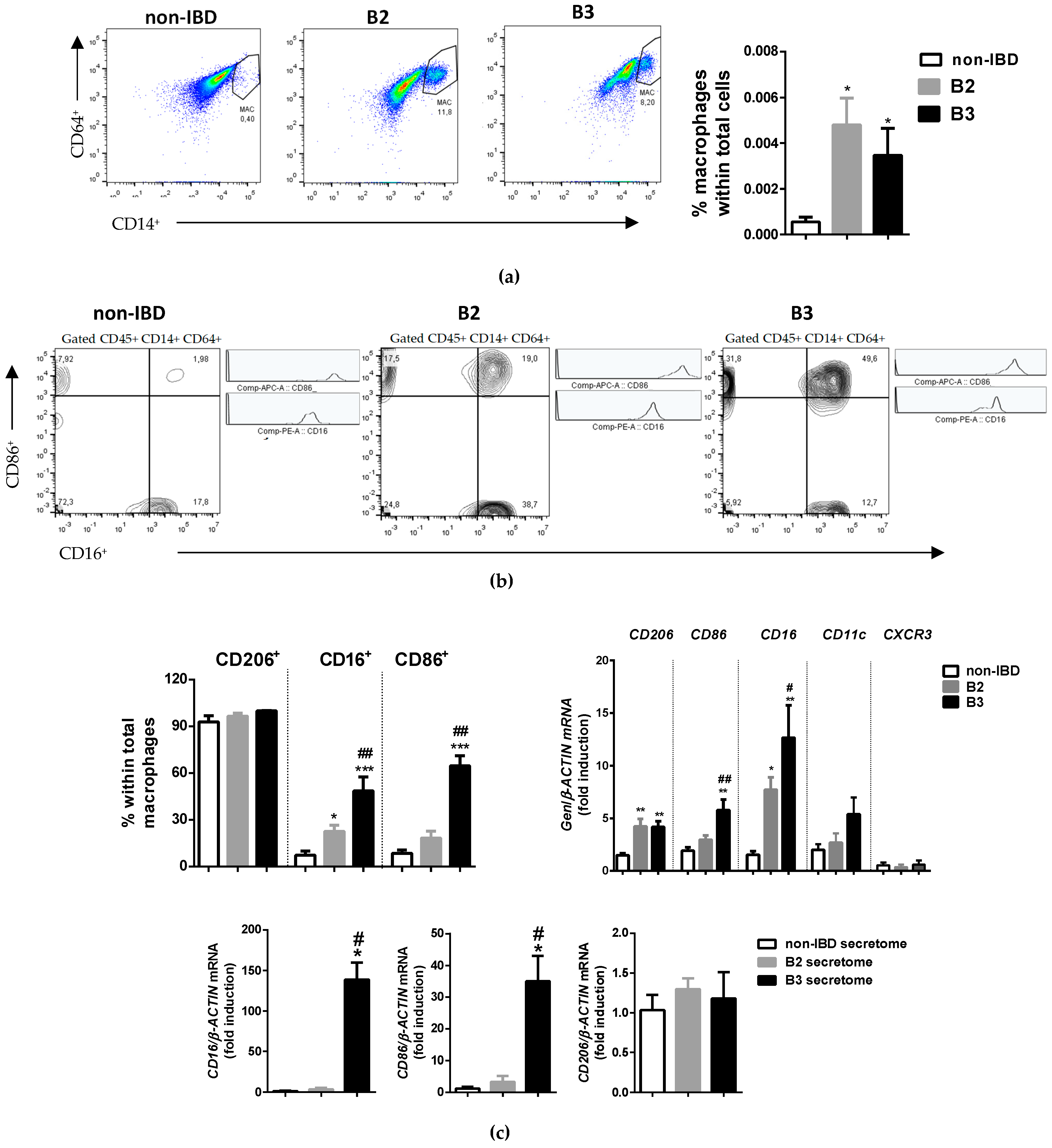 Biomedicines 10 01093 g003