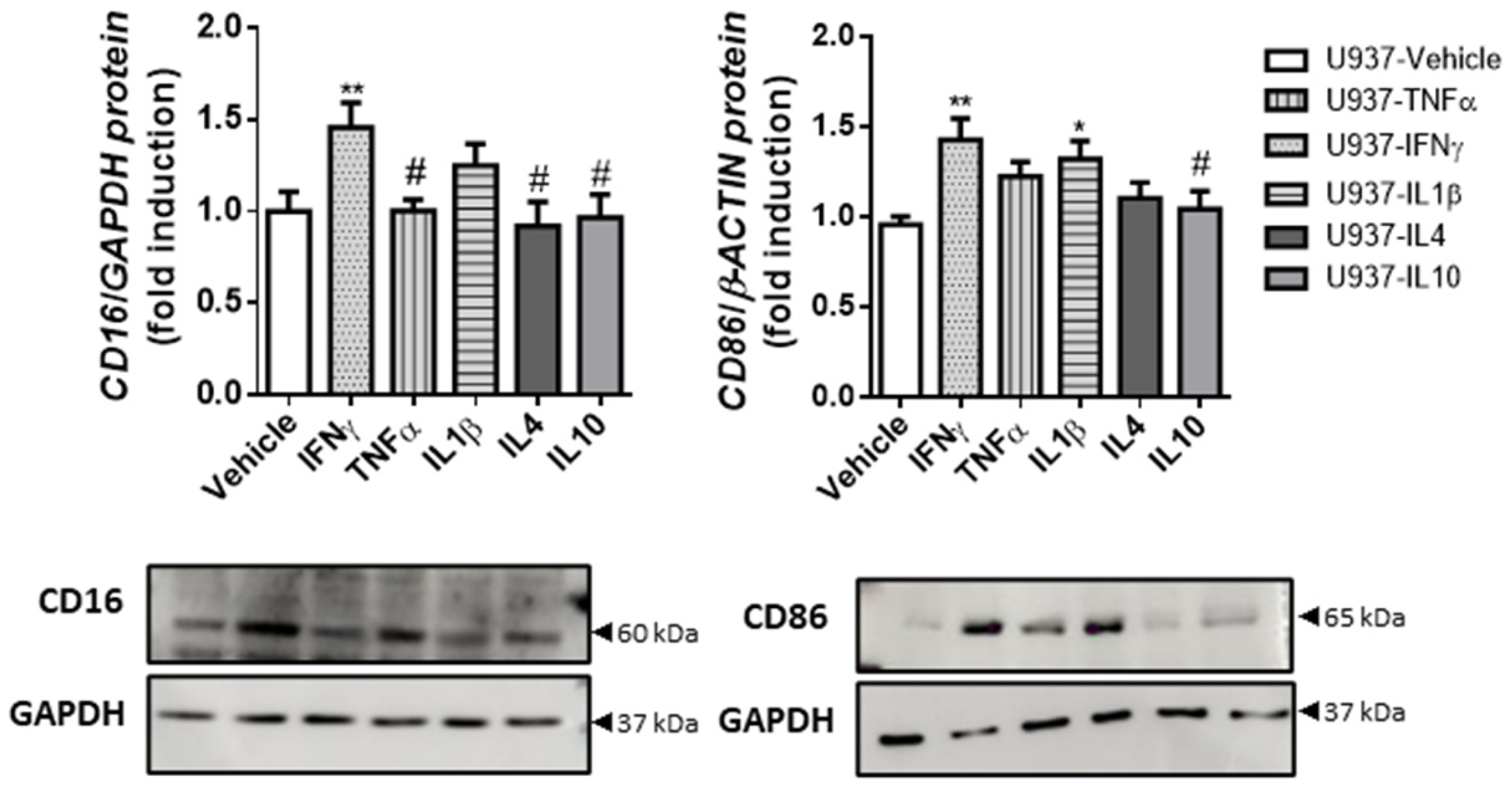 Biomedicines 10 01093 g005