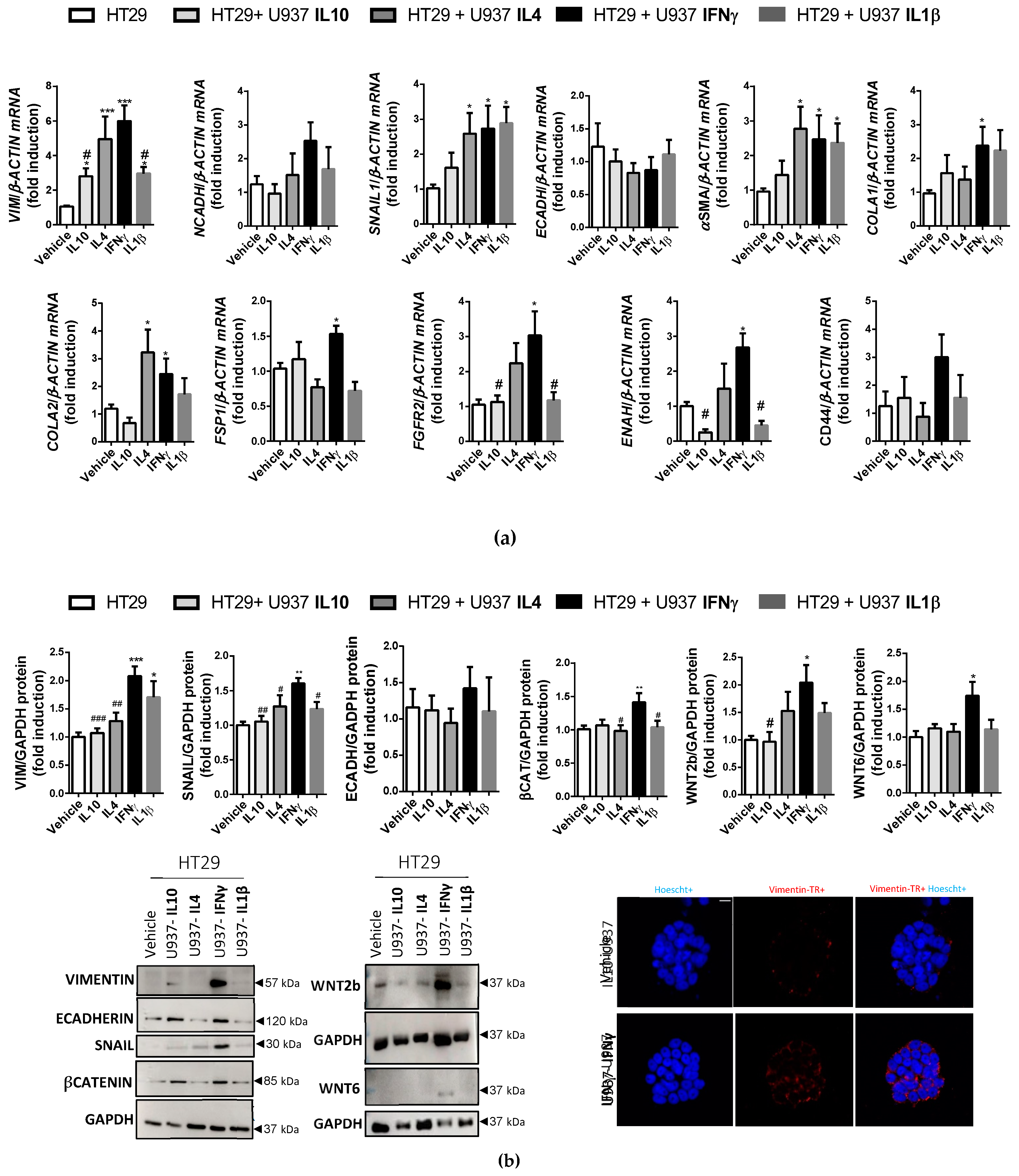 Biomedicines 10 01093 g007