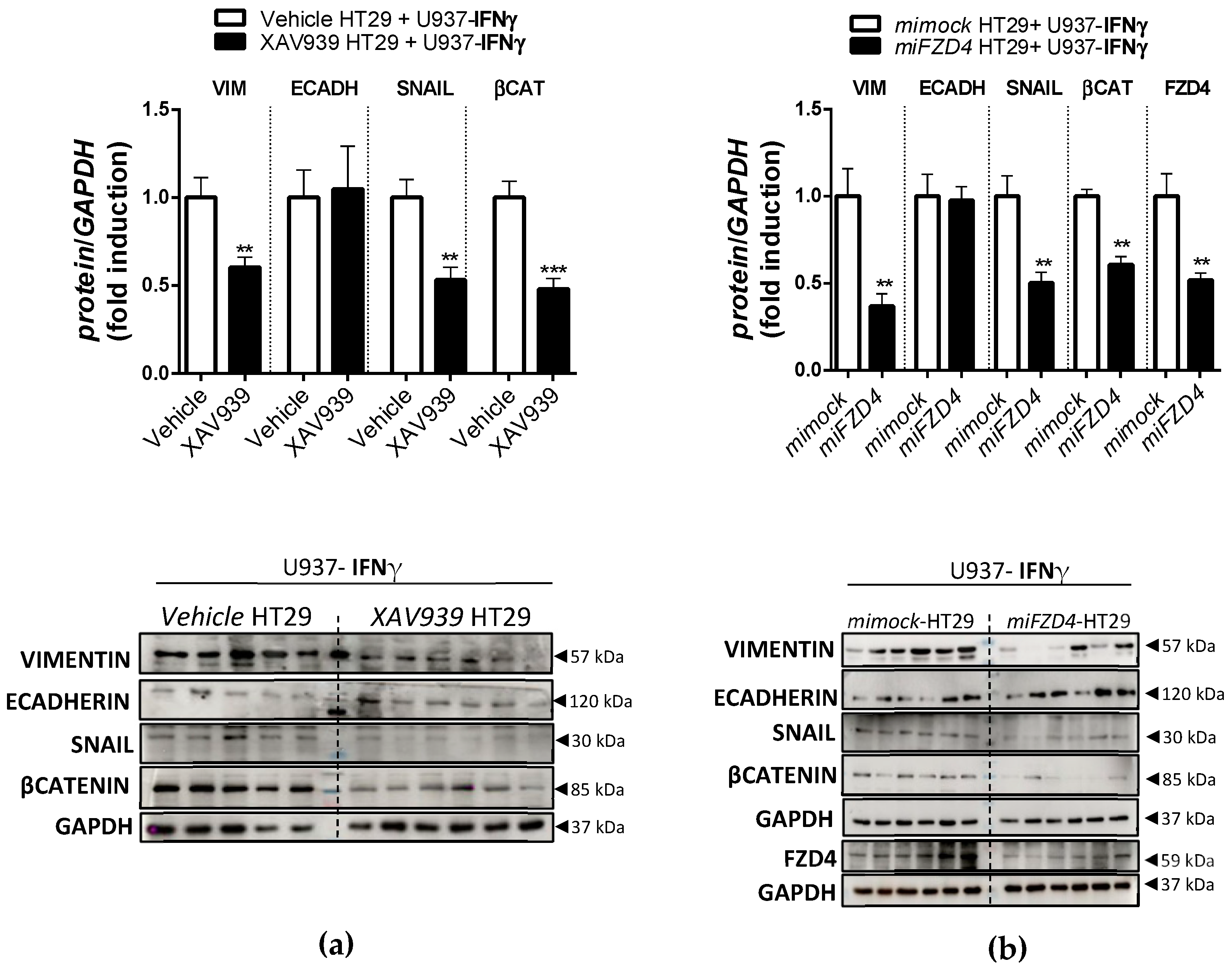 Biomedicines 10 01093 g008