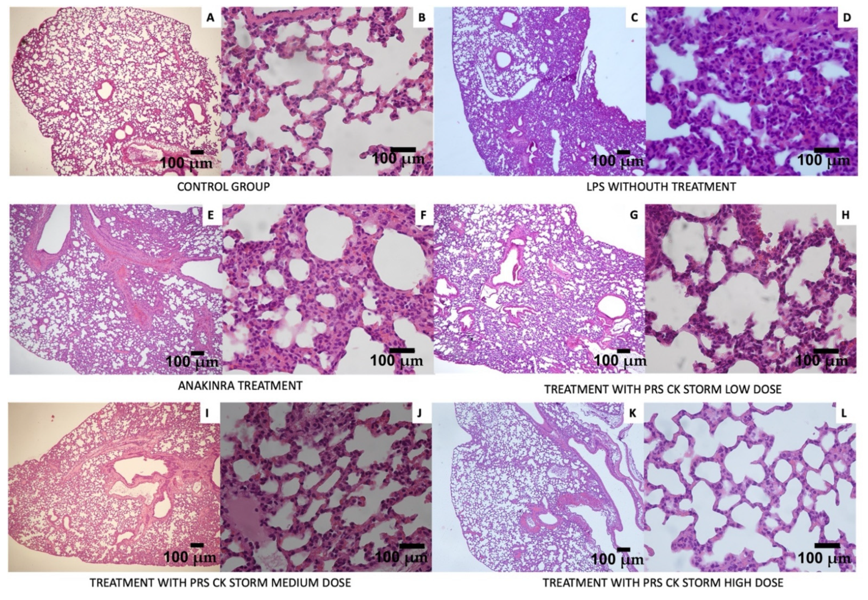 Biomedicines 10 01094 g010