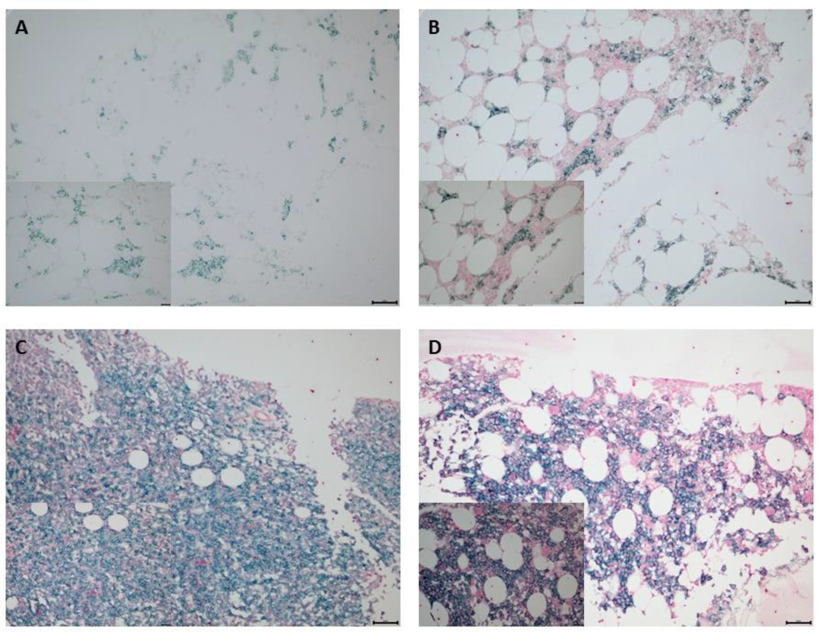 Biomedicines 10 01099 g001