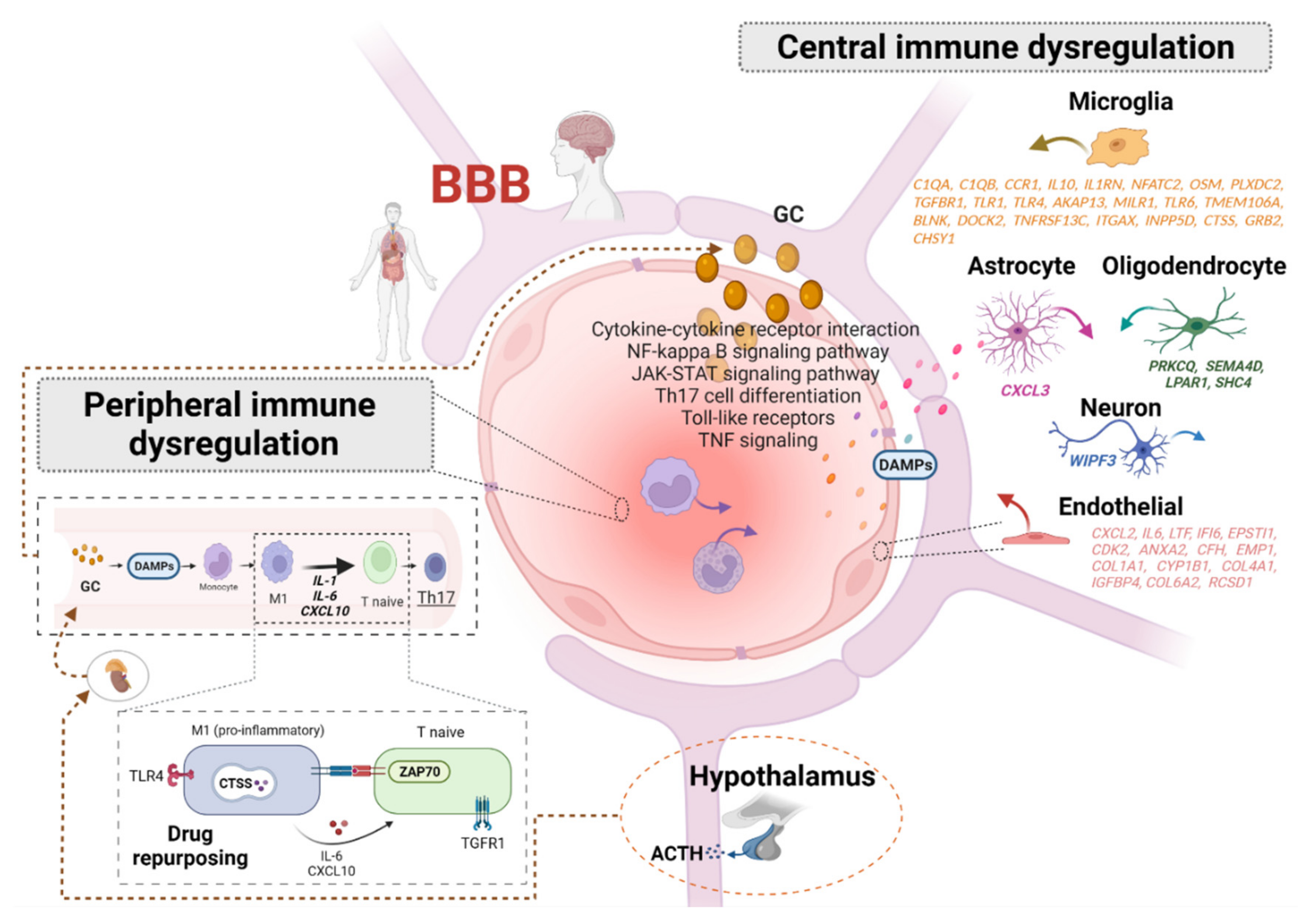 Biomedicines 10 01107 g002