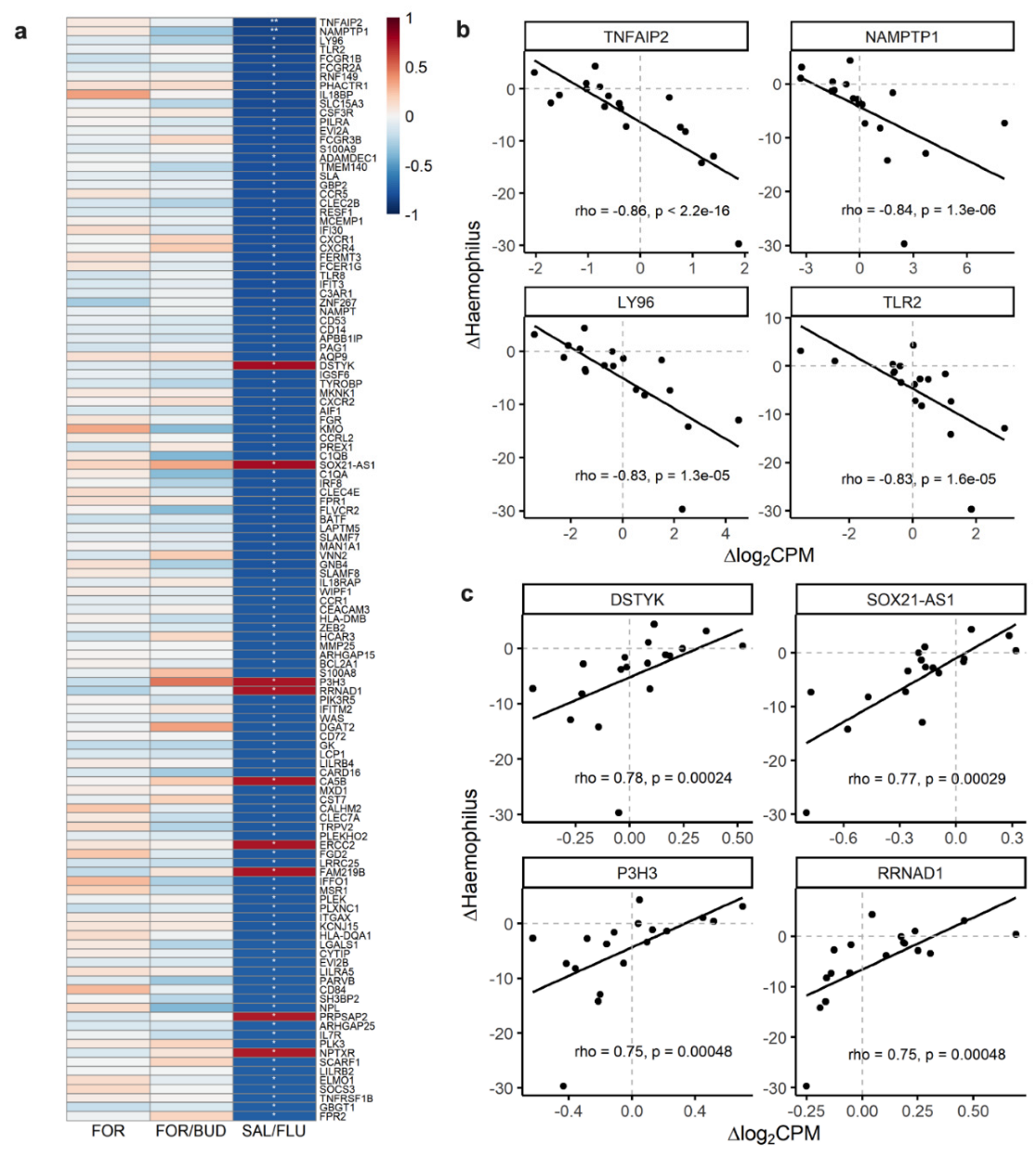 Biomedicines 10 01110 g003