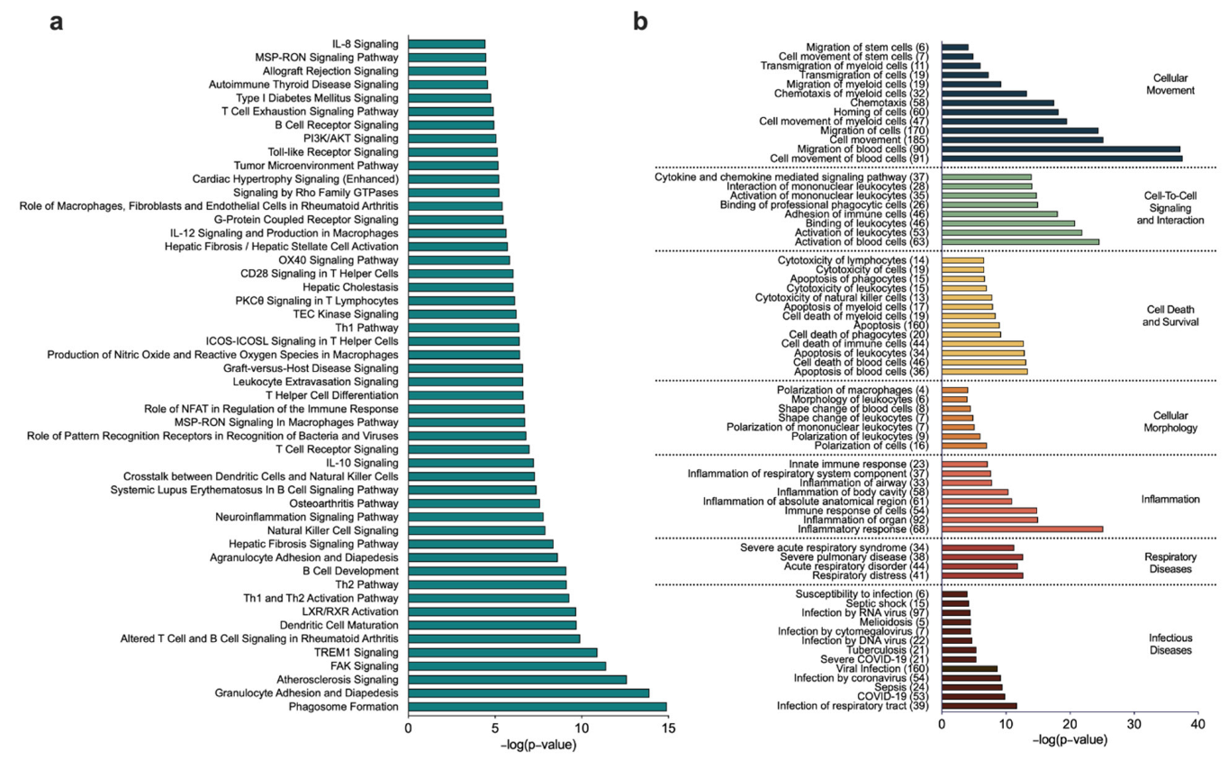 Biomedicines 10 01110 g004