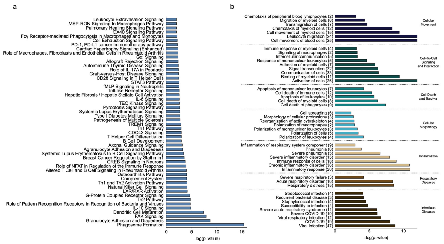 Biomedicines 10 01110 g005