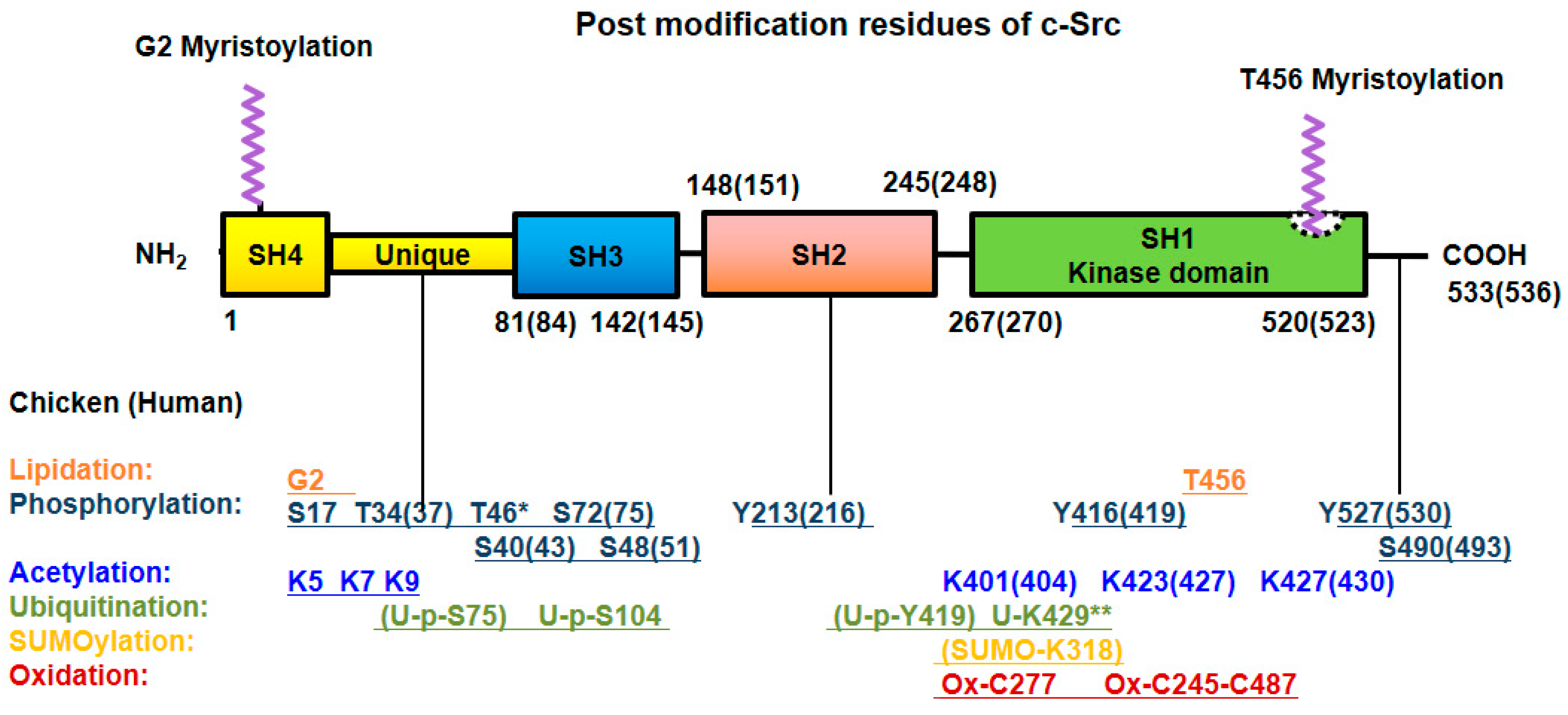 Biomedicines 10 01112 g002