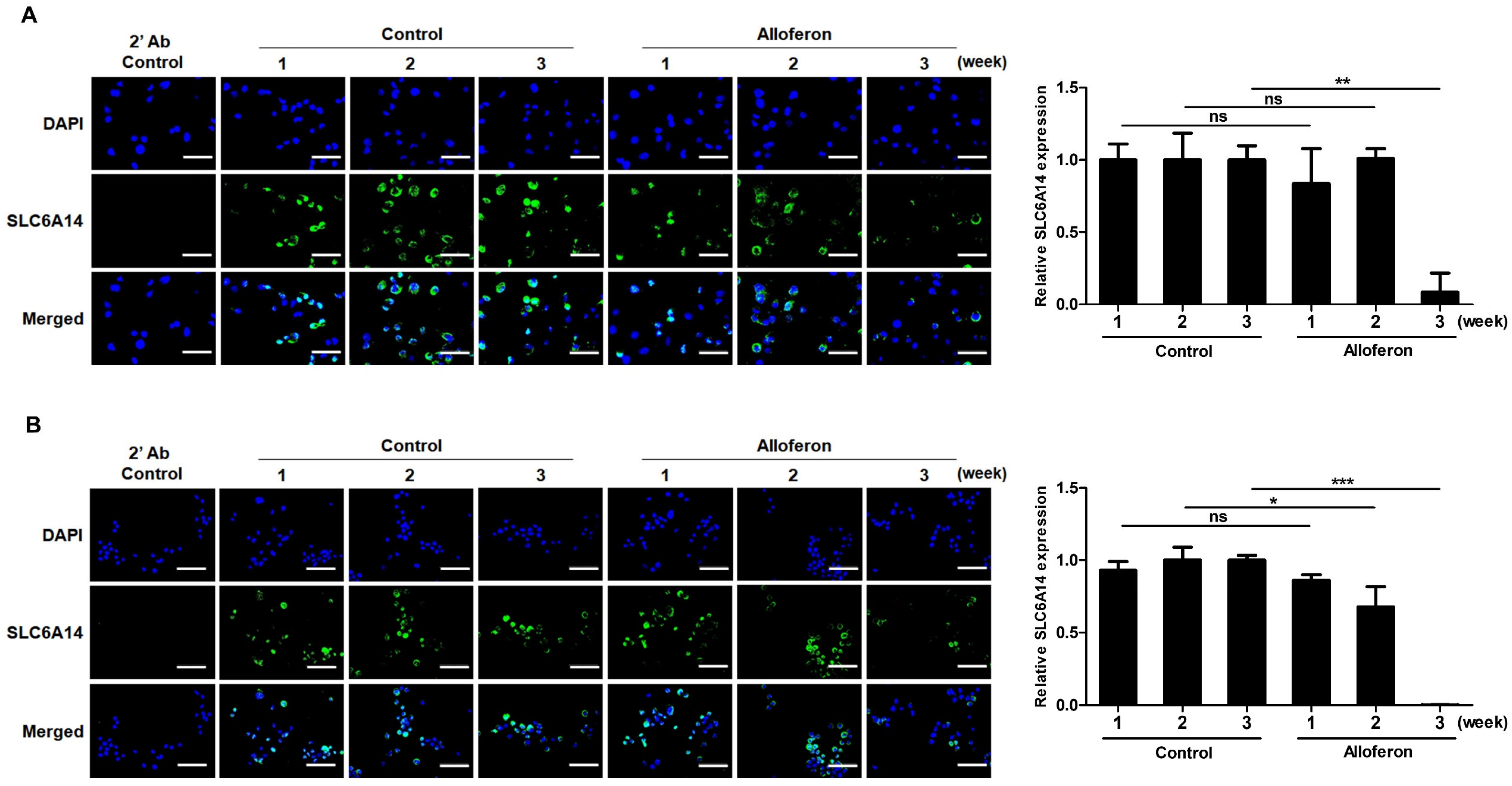 Biomedicines 10 01113 g001