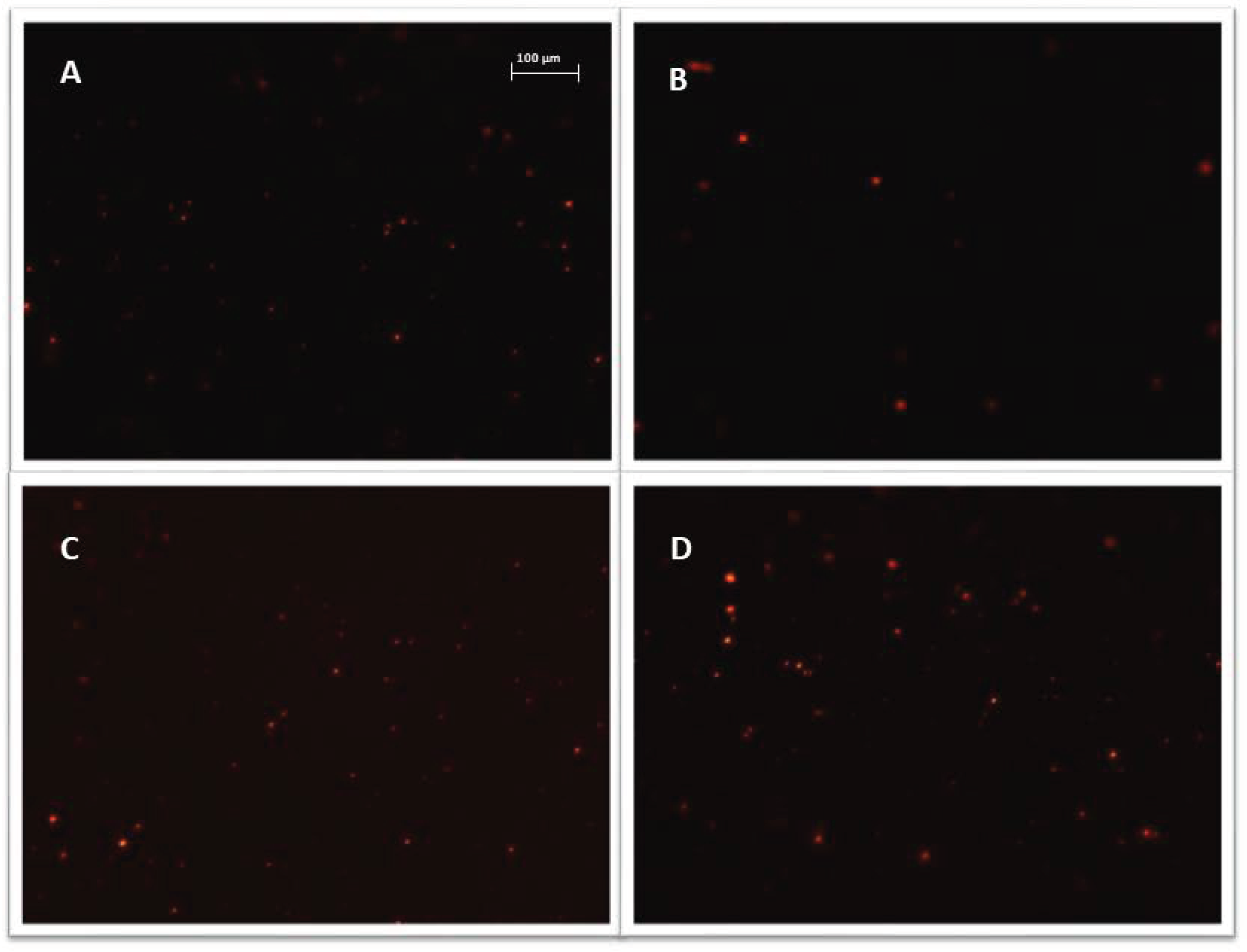 Biomedicines 10 01116 g005