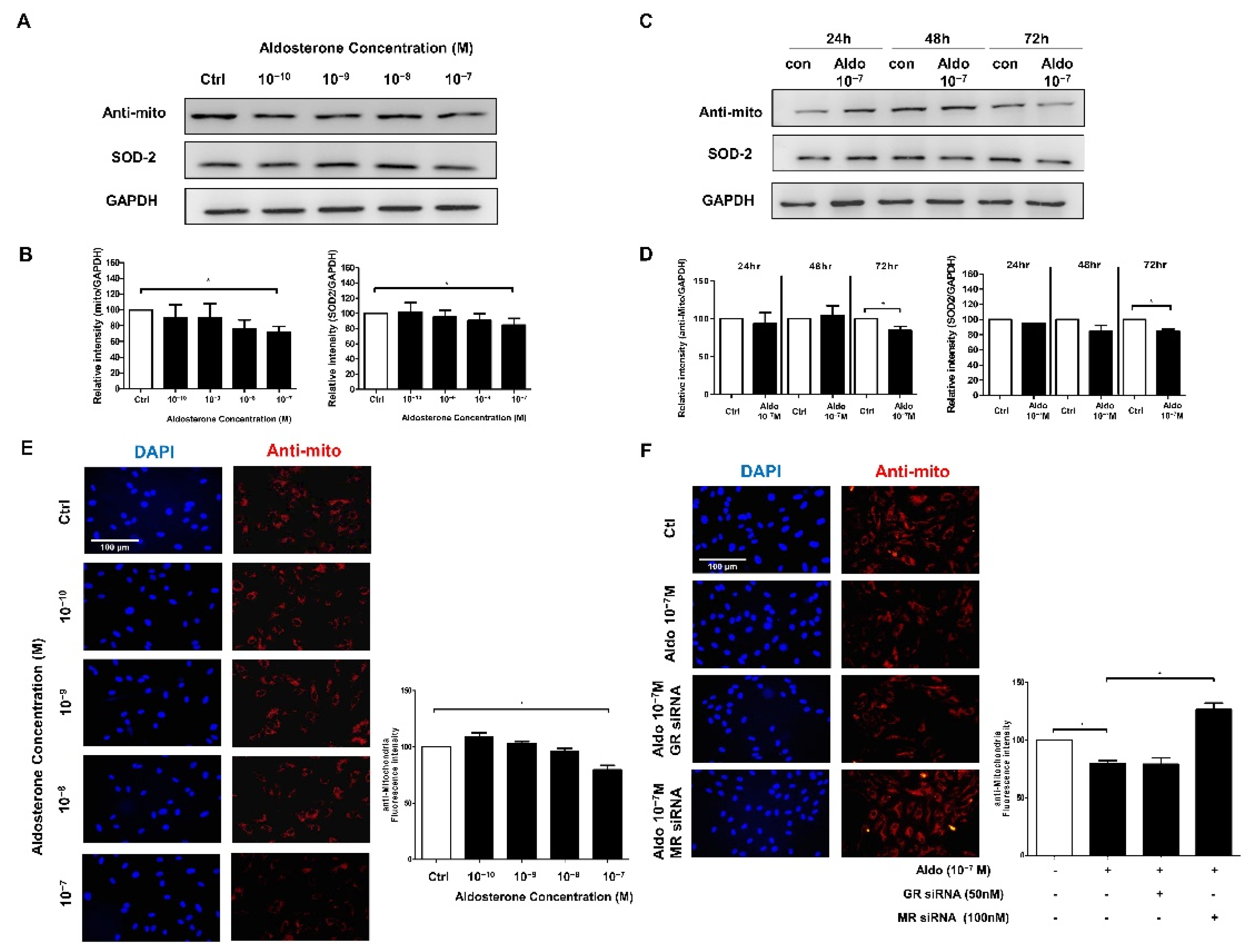 Biomedicines 10 01119 g002
