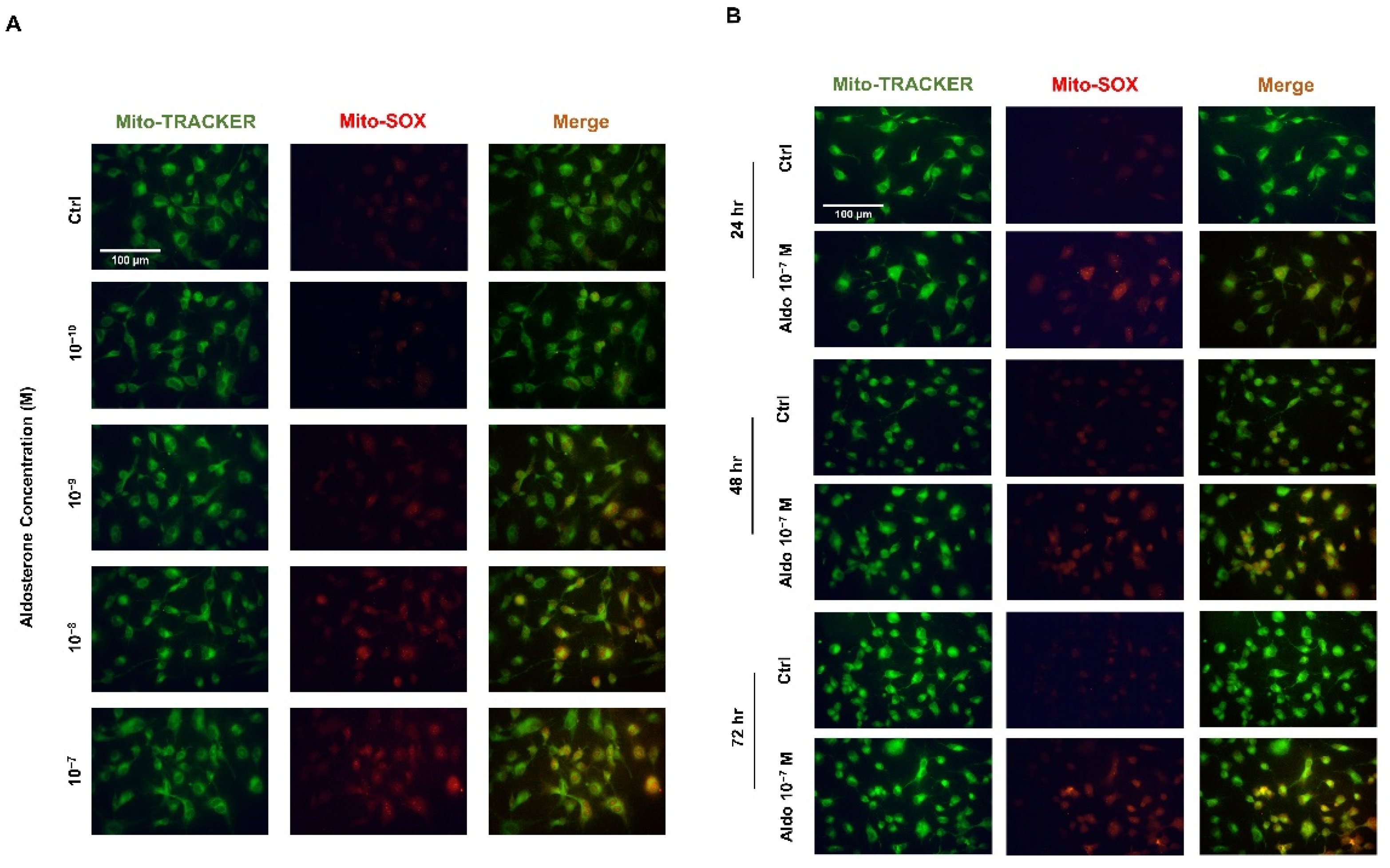 Biomedicines 10 01119 g003
