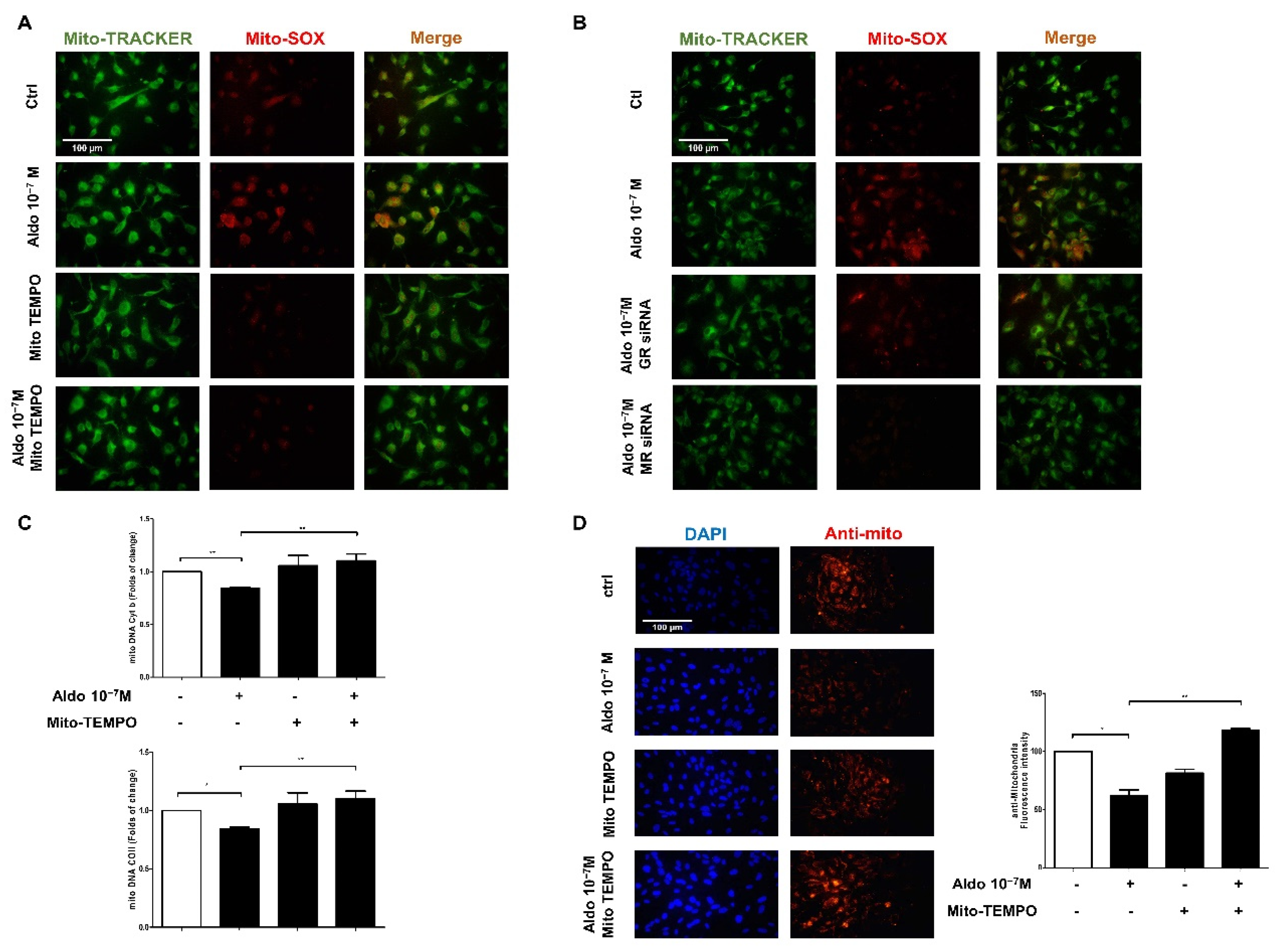 Biomedicines 10 01119 g004