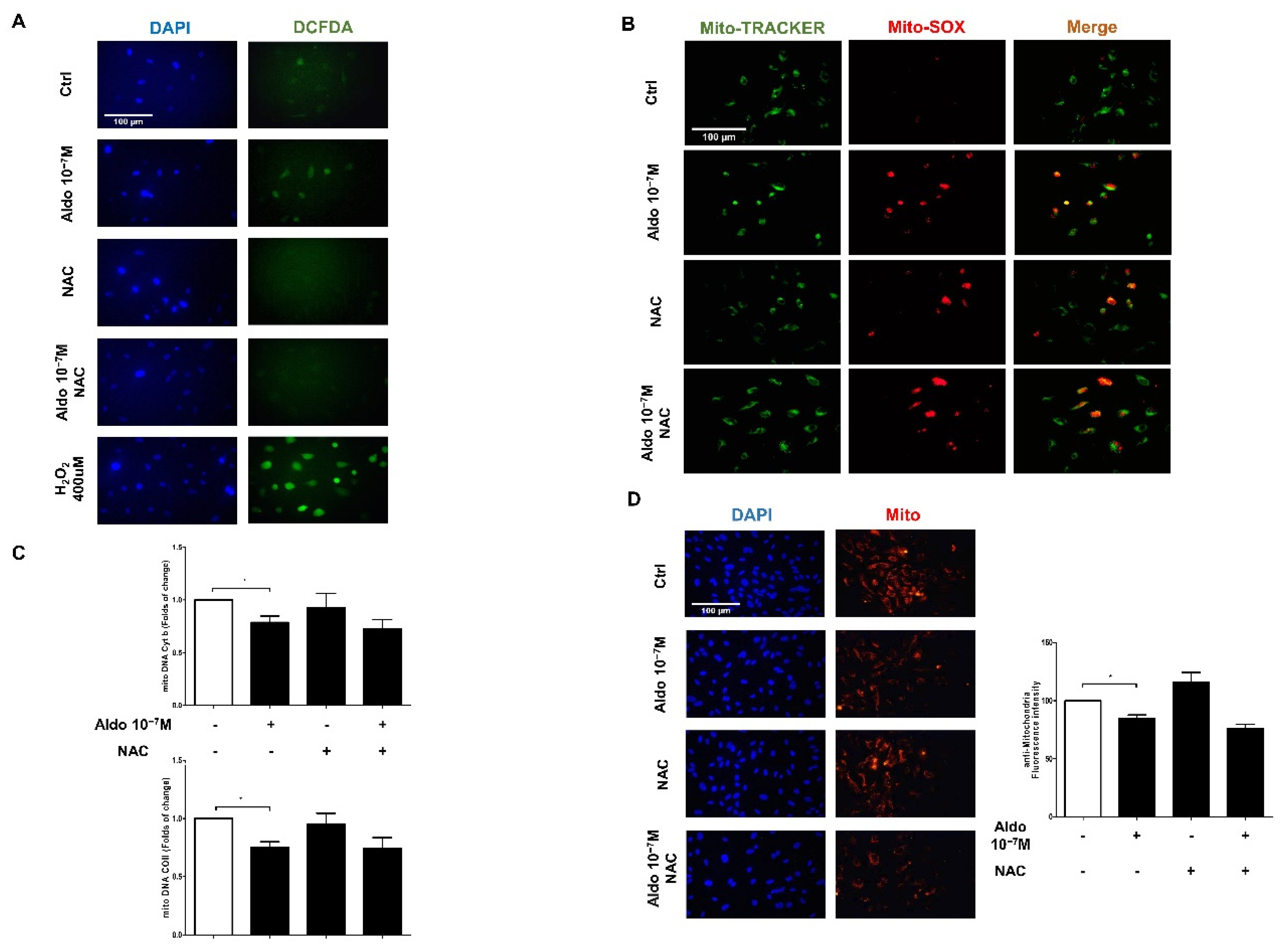 Biomedicines 10 01119 g005