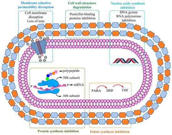 Biomedicines 10 01121 g002
