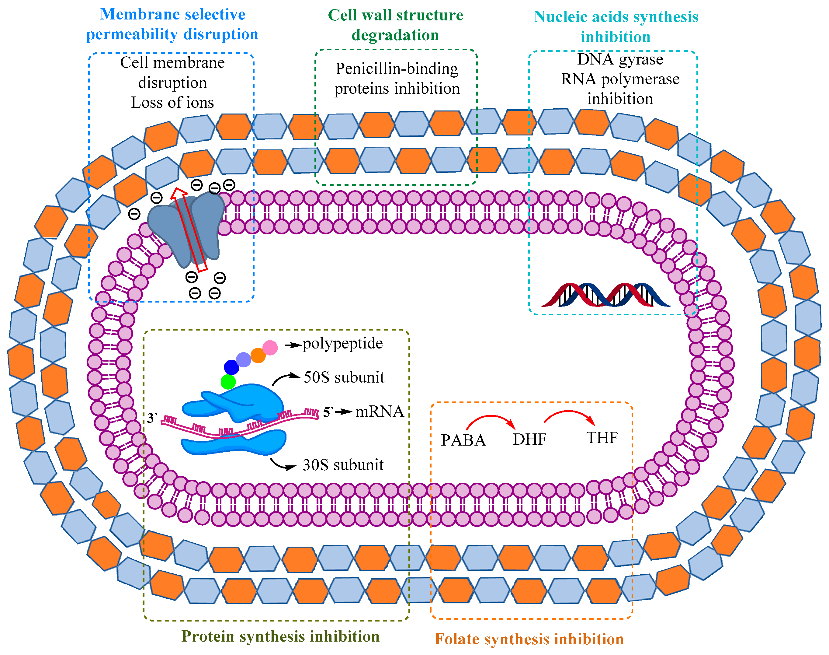 Biomedicines 10 01121 g002 Biomedicines 10 01121 g002