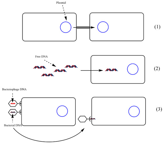 Biomedicines 10 01121 g004