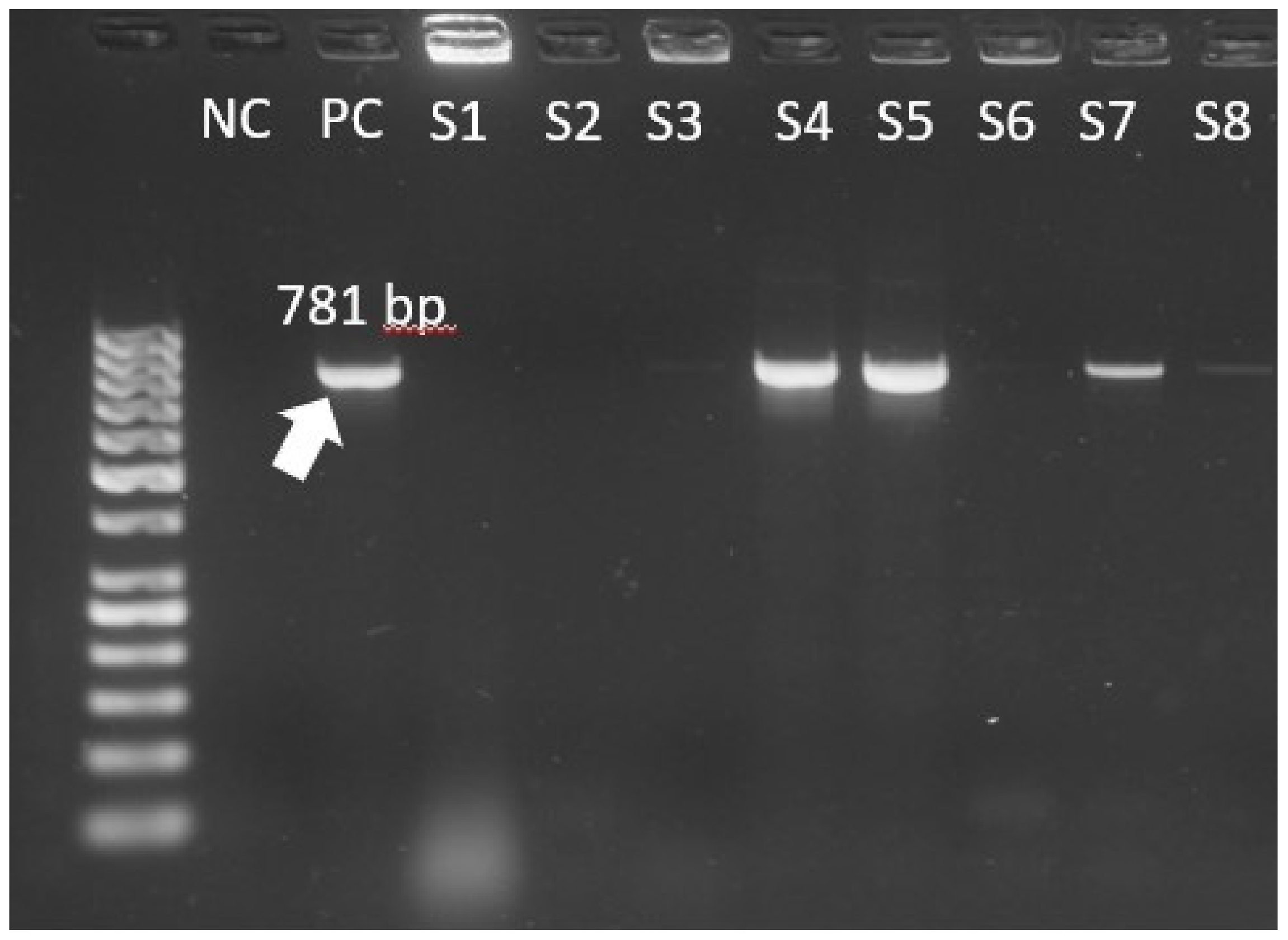 Biomedicines 10 01122 g001