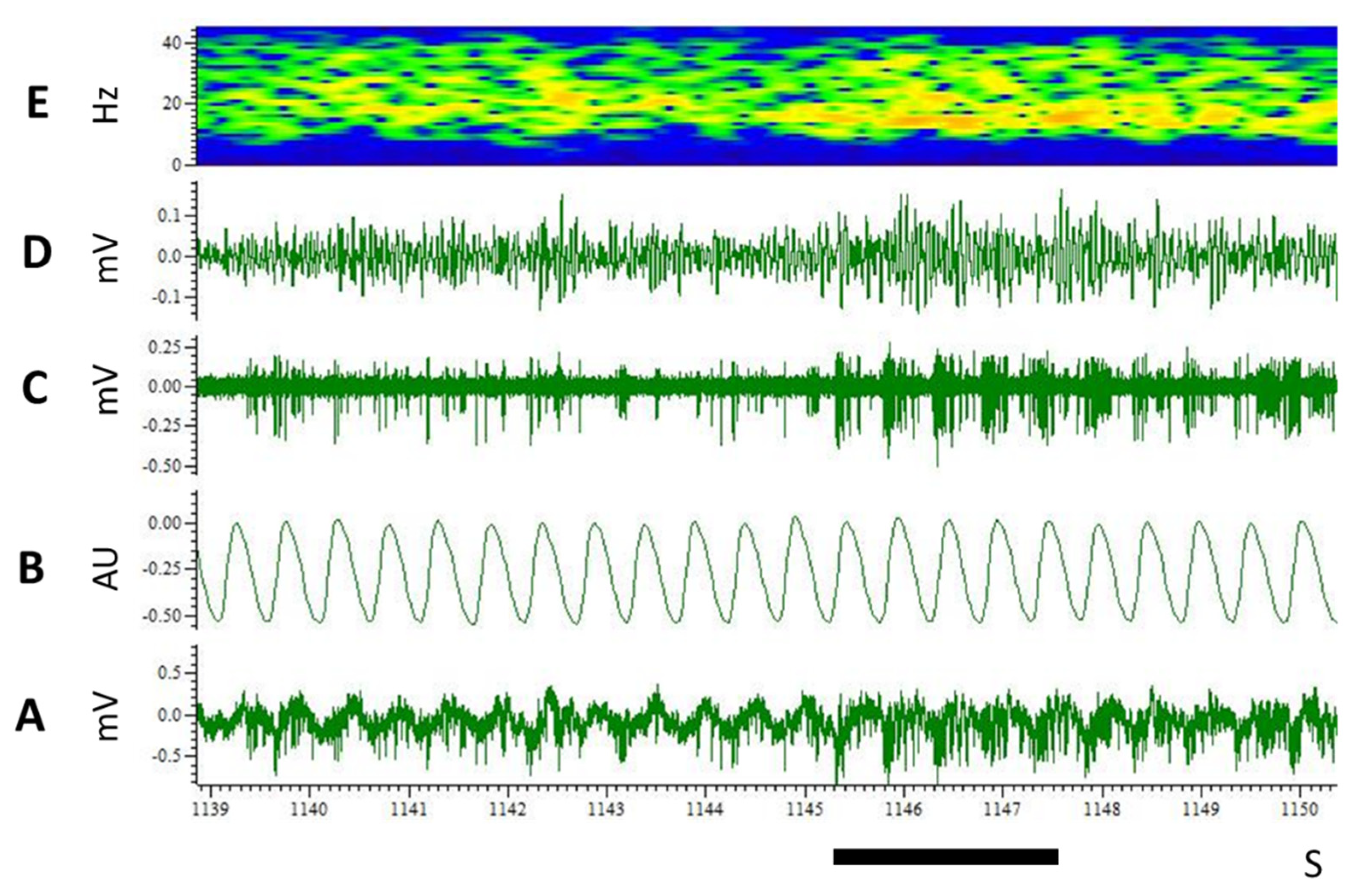 Biomedicines 10 01126 g007